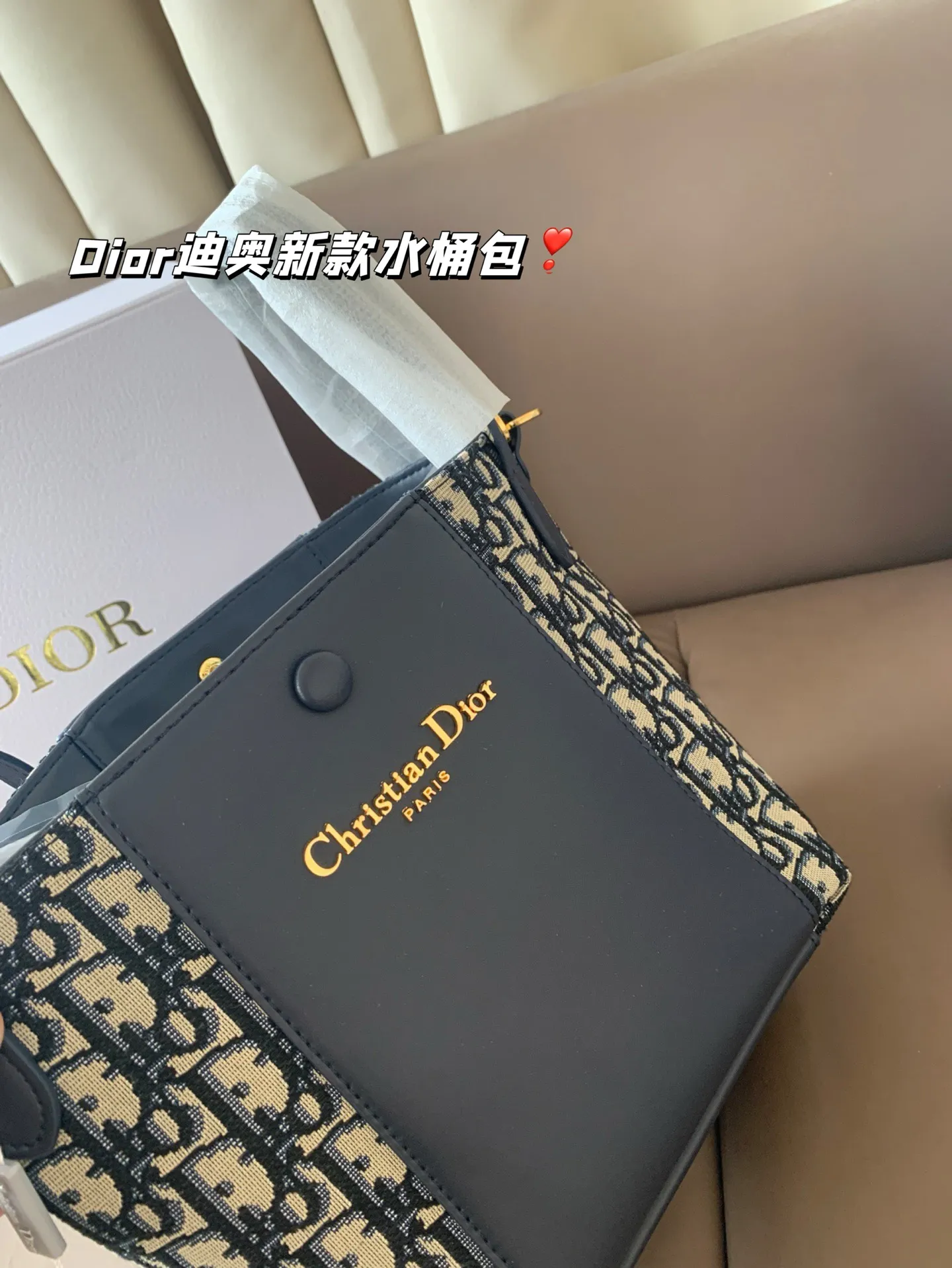 P170 Dior迪奥新款水桶包 高级感满满 经典中的经典 任何搭配都可轻松驾驭 尺寸19*20