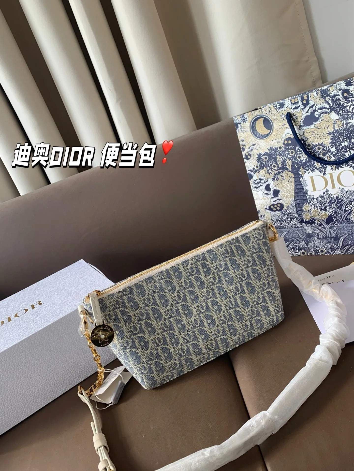 P165 折叠盒 迪奥DIOR 便当包 很有质感 可盐可甜上身绝美 无可比拟 是每个追求漂亮的女孩必入单品 尺寸22*16