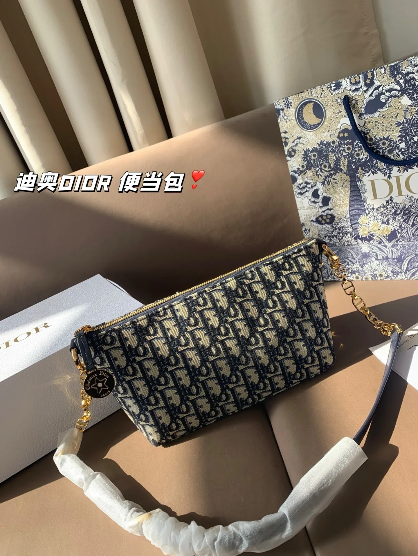 P165 折叠盒 迪奥DIOR 便当包 很有质感 可盐可甜上身绝美 无可比拟 是每个追求漂亮的女孩必入单品 尺寸22*16