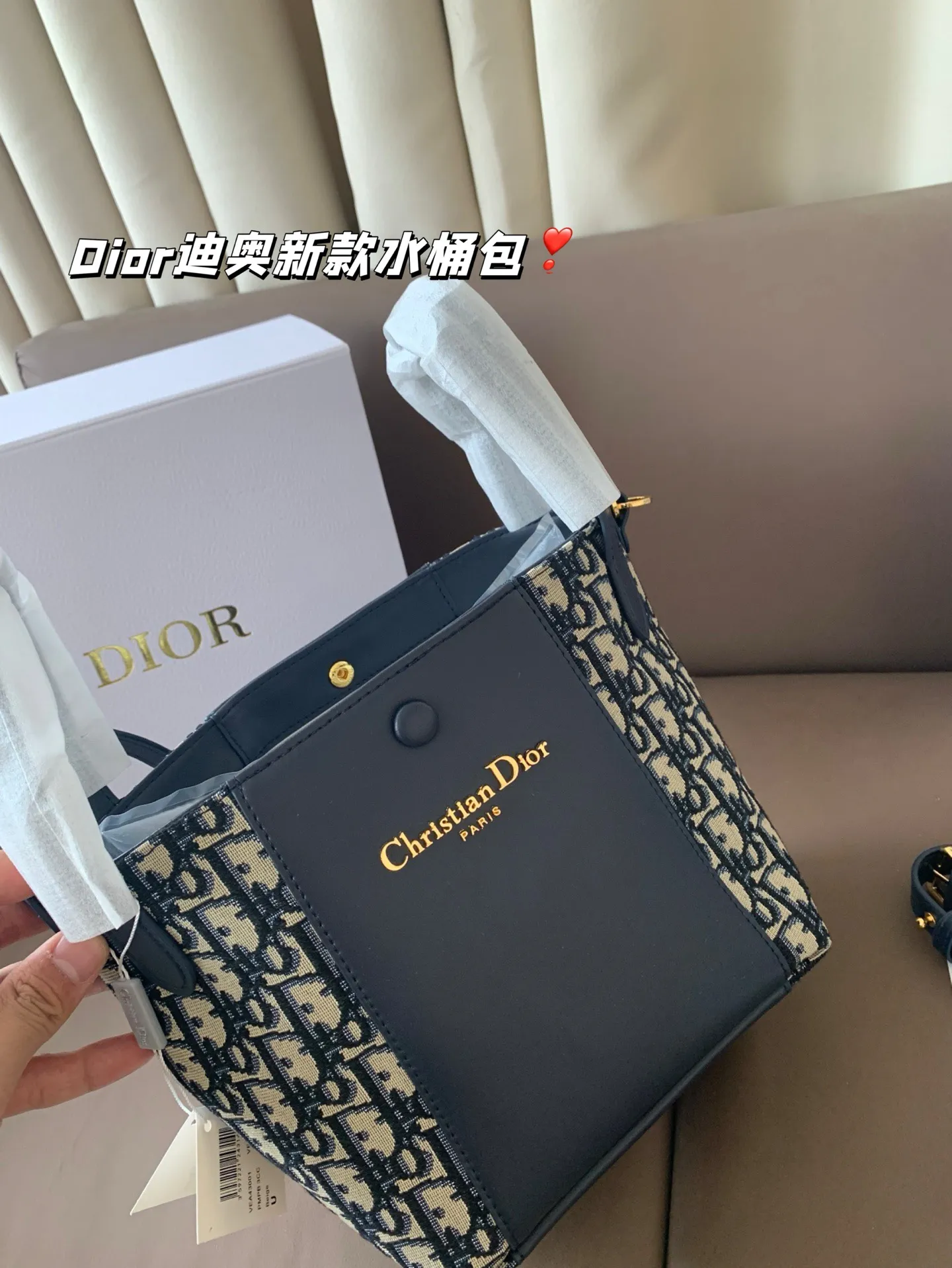 P170 Dior迪奥新款水桶包 高级感满满 经典中的经典 任何搭配都可轻松驾驭 尺寸19*20