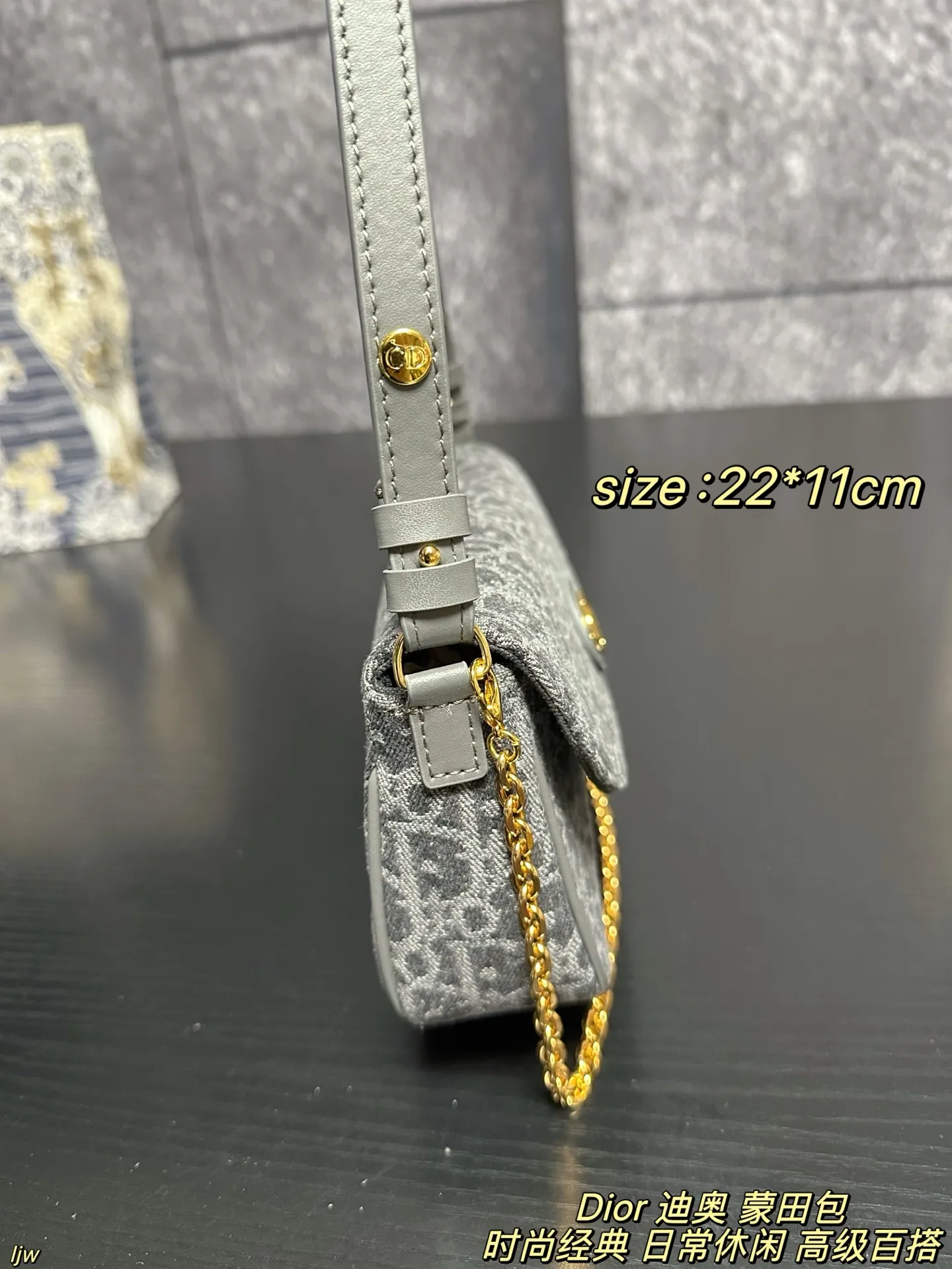 P165配盒 Dior 迪奥 蒙田包 迪奥新品,这只蒙田 D-Vine 真的越看越喜欢,白色老花提花带一点黑线细节,刚好是那种秋天的柔和质感,最可爱的是那个小狮子包挂!毛茸茸的、软软的,挂上去整只包都变得更俏皮~优雅和可爱这次全都拿捏住了🐾 尺寸:22*11cm