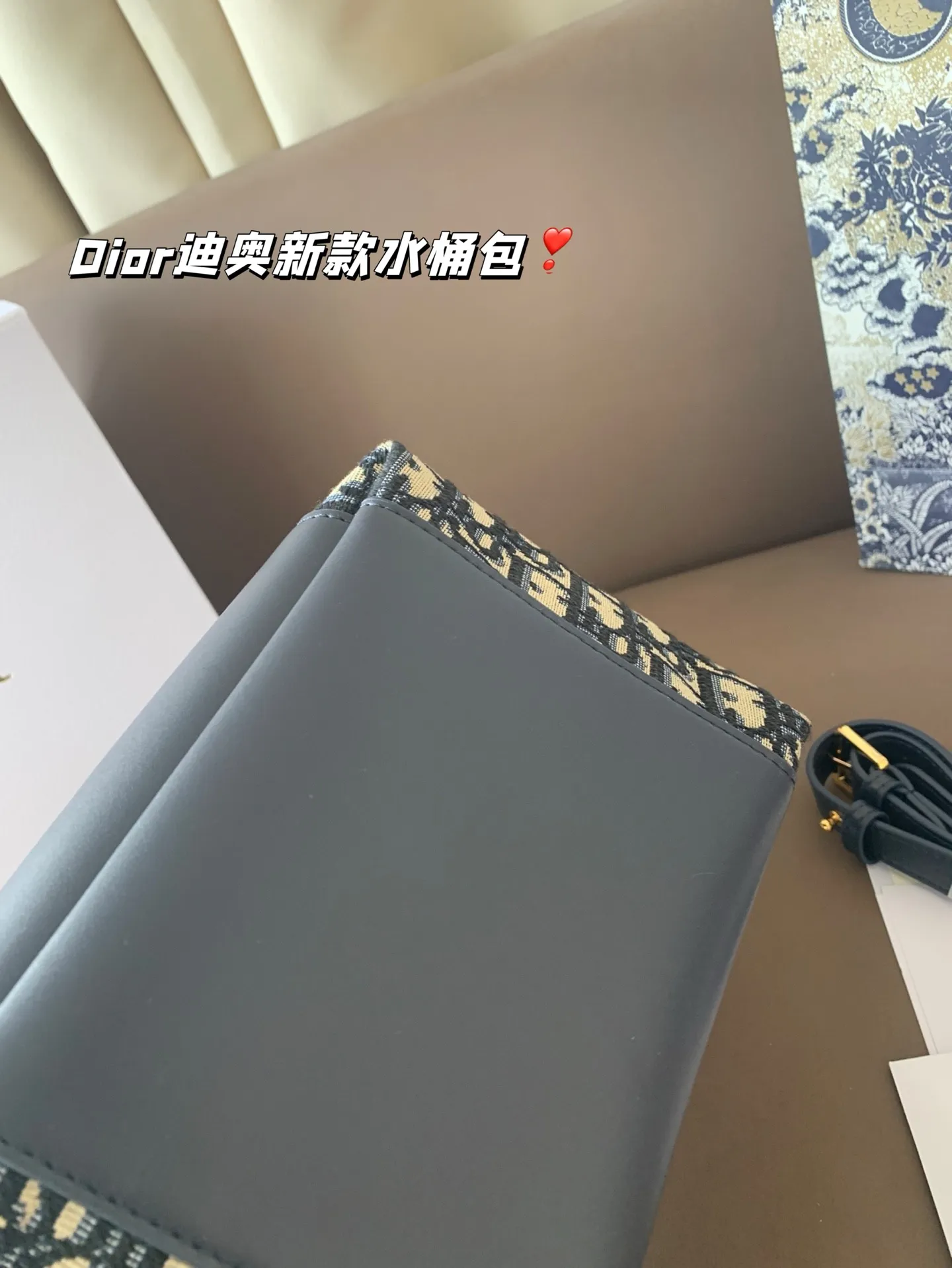 P170 Dior迪奥新款水桶包 高级感满满 经典中的经典 任何搭配都可轻松驾驭 尺寸19*20