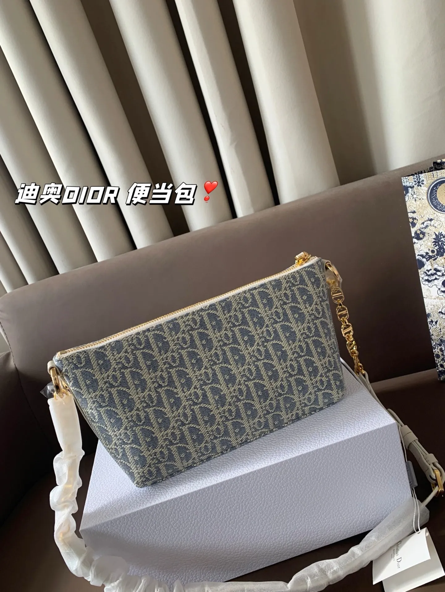 P165 折叠盒 迪奥DIOR 便当包 很有质感 可盐可甜上身绝美 无可比拟 是每个追求漂亮的女孩必入单品 尺寸22*16