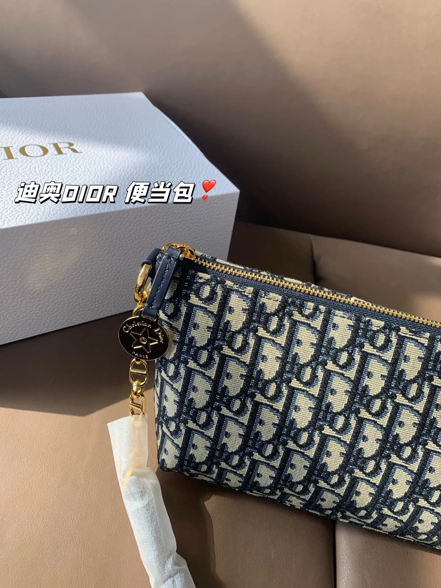 P165 折叠盒 迪奥DIOR 便当包 很有质感 可盐可甜上身绝美 无可比拟 是每个追求漂亮的女孩必入单品 尺寸22*16