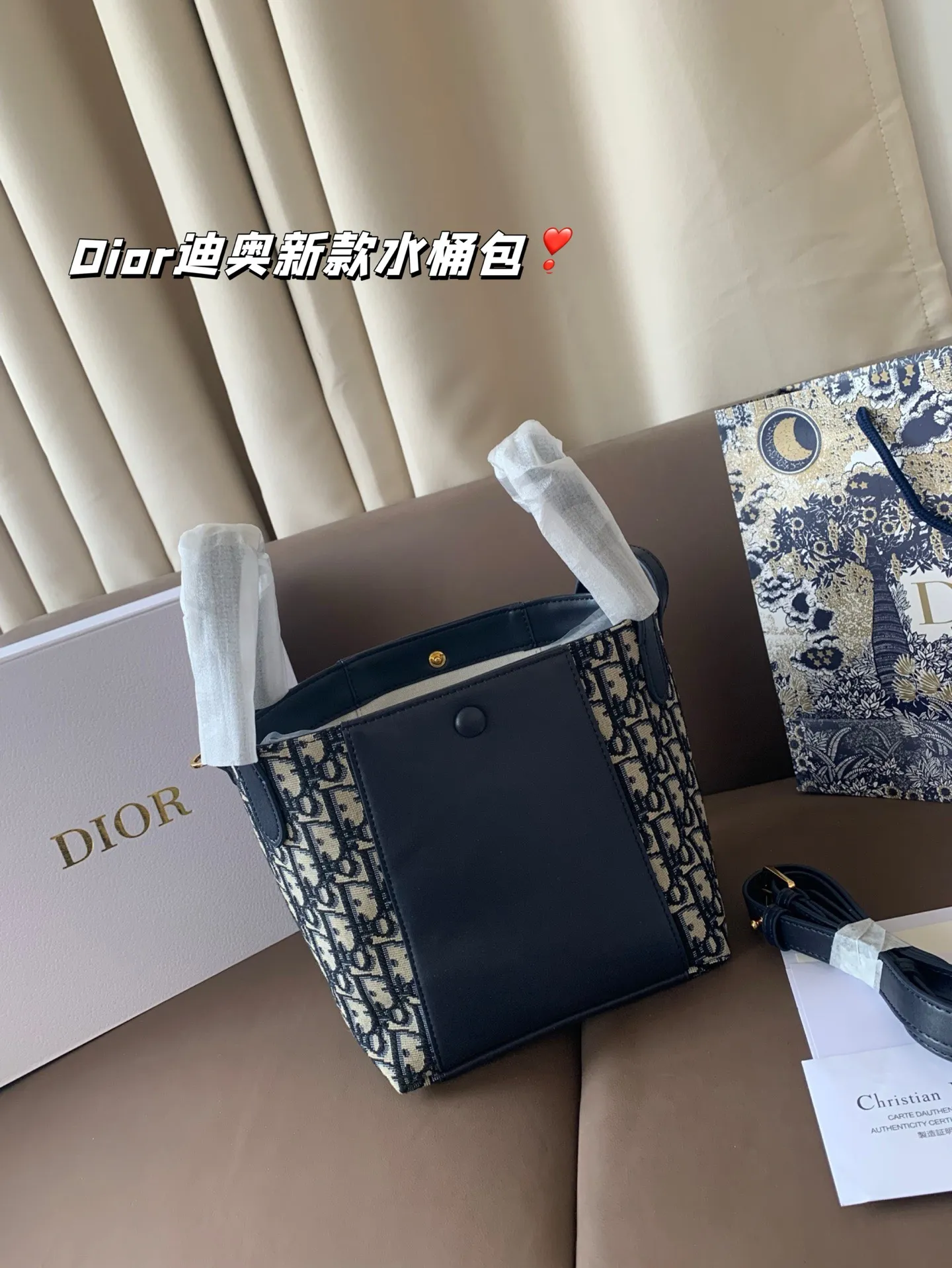 P170 Dior迪奥新款水桶包 高级感满满 经典中的经典 任何搭配都可轻松驾驭 尺寸19*20