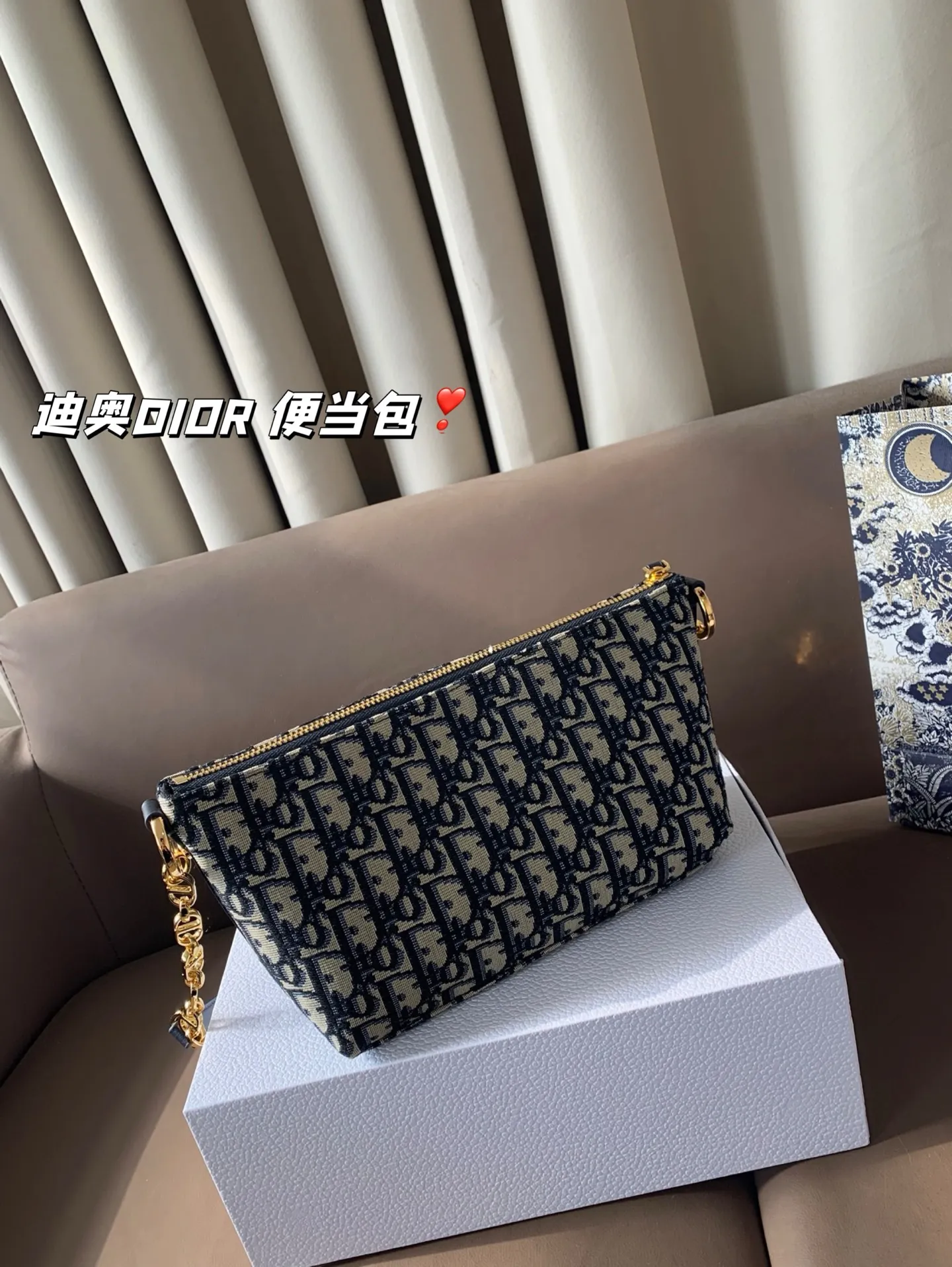 P165 折叠盒 迪奥DIOR 便当包 很有质感 可盐可甜上身绝美 无可比拟 是每个追求漂亮的女孩必入单品 尺寸22*16