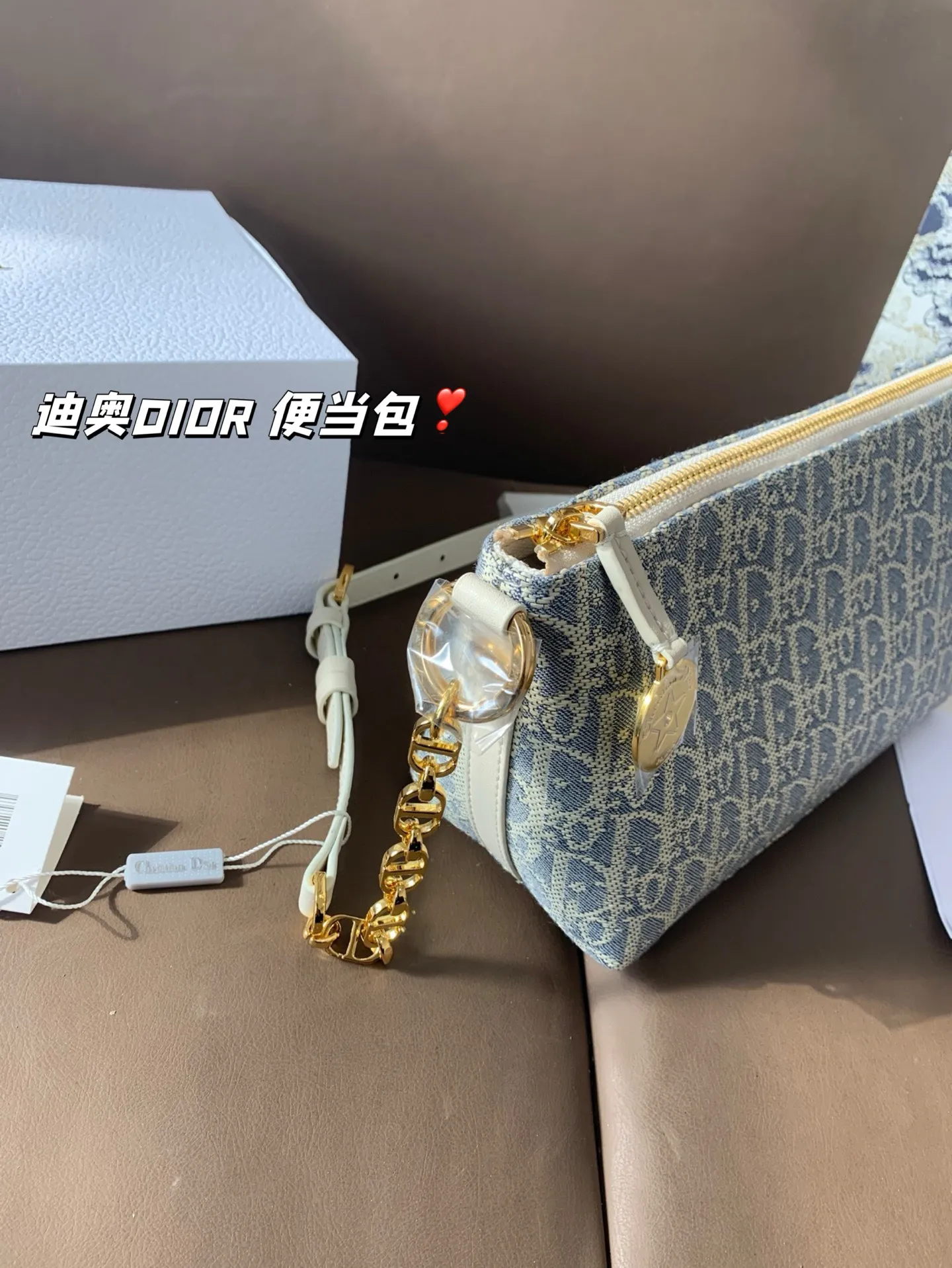 P165 折叠盒 迪奥DIOR 便当包 很有质感 可盐可甜上身绝美 无可比拟 是每个追求漂亮的女孩必入单品 尺寸22*16