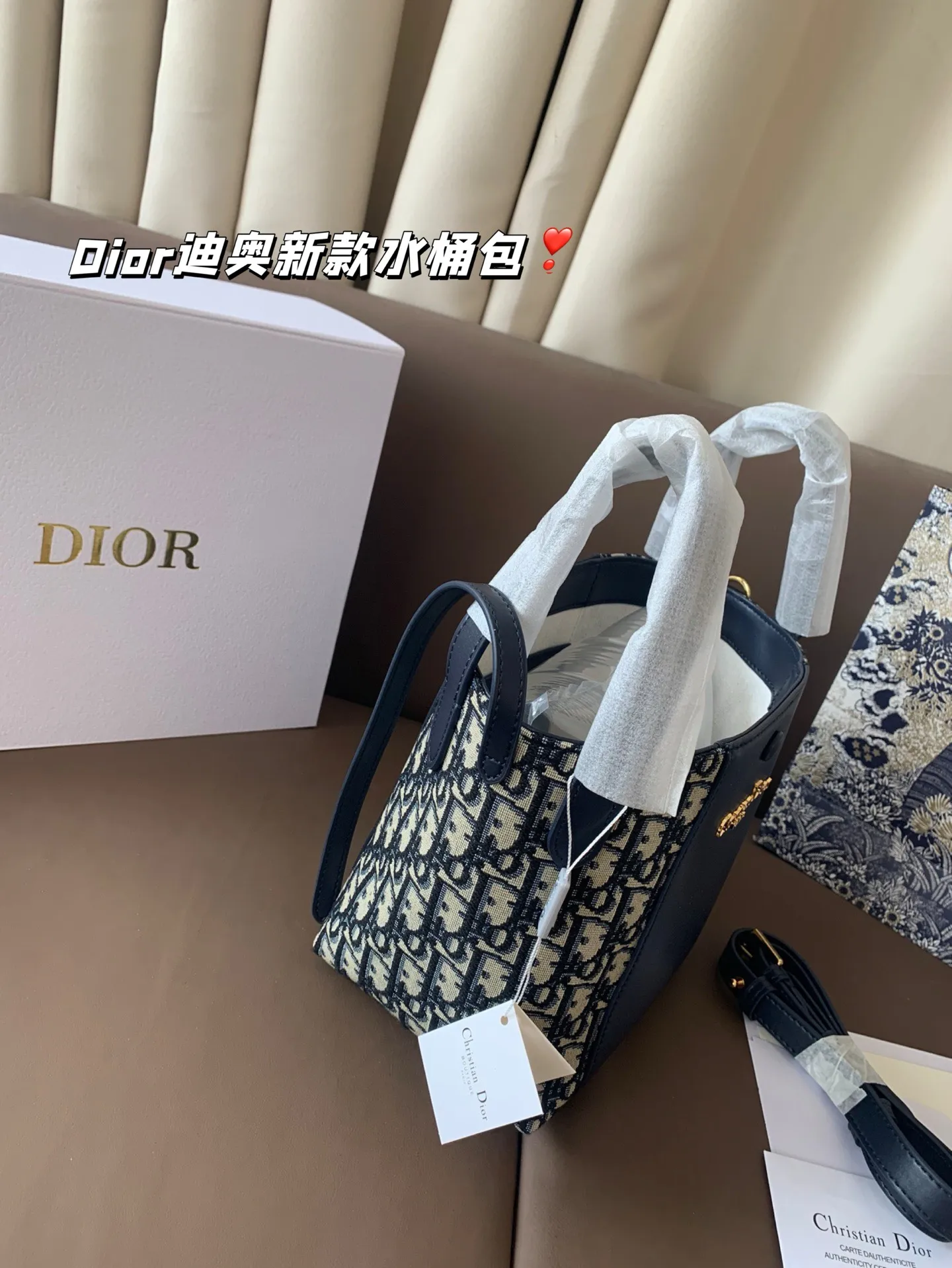 P170 Dior迪奥新款水桶包 高级感满满 经典中的经典 任何搭配都可轻松驾驭 尺寸19*20