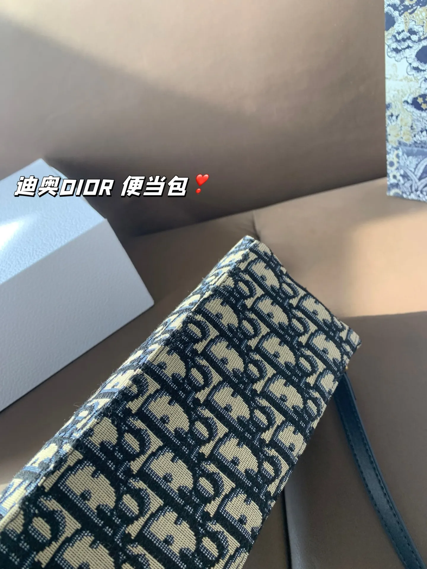 P165 折叠盒 迪奥DIOR 便当包 很有质感 可盐可甜上身绝美 无可比拟 是每个追求漂亮的女孩必入单品 尺寸22*16