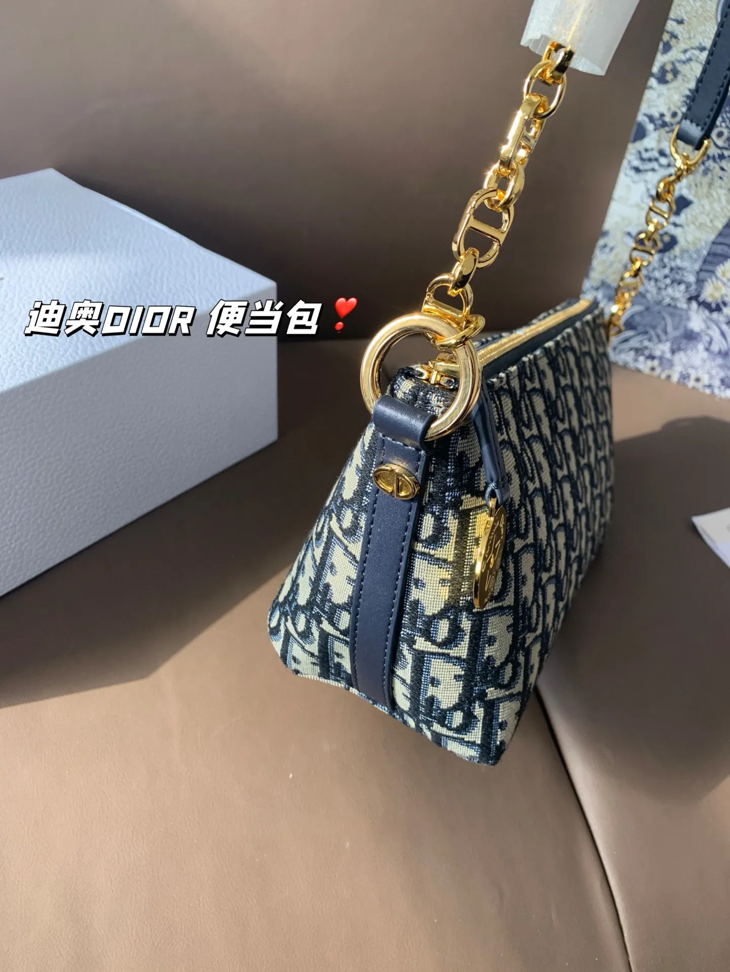 P165 折叠盒 迪奥DIOR 便当包 很有质感 可盐可甜上身绝美 无可比拟 是每个追求漂亮的女孩必入单品 尺寸22*16