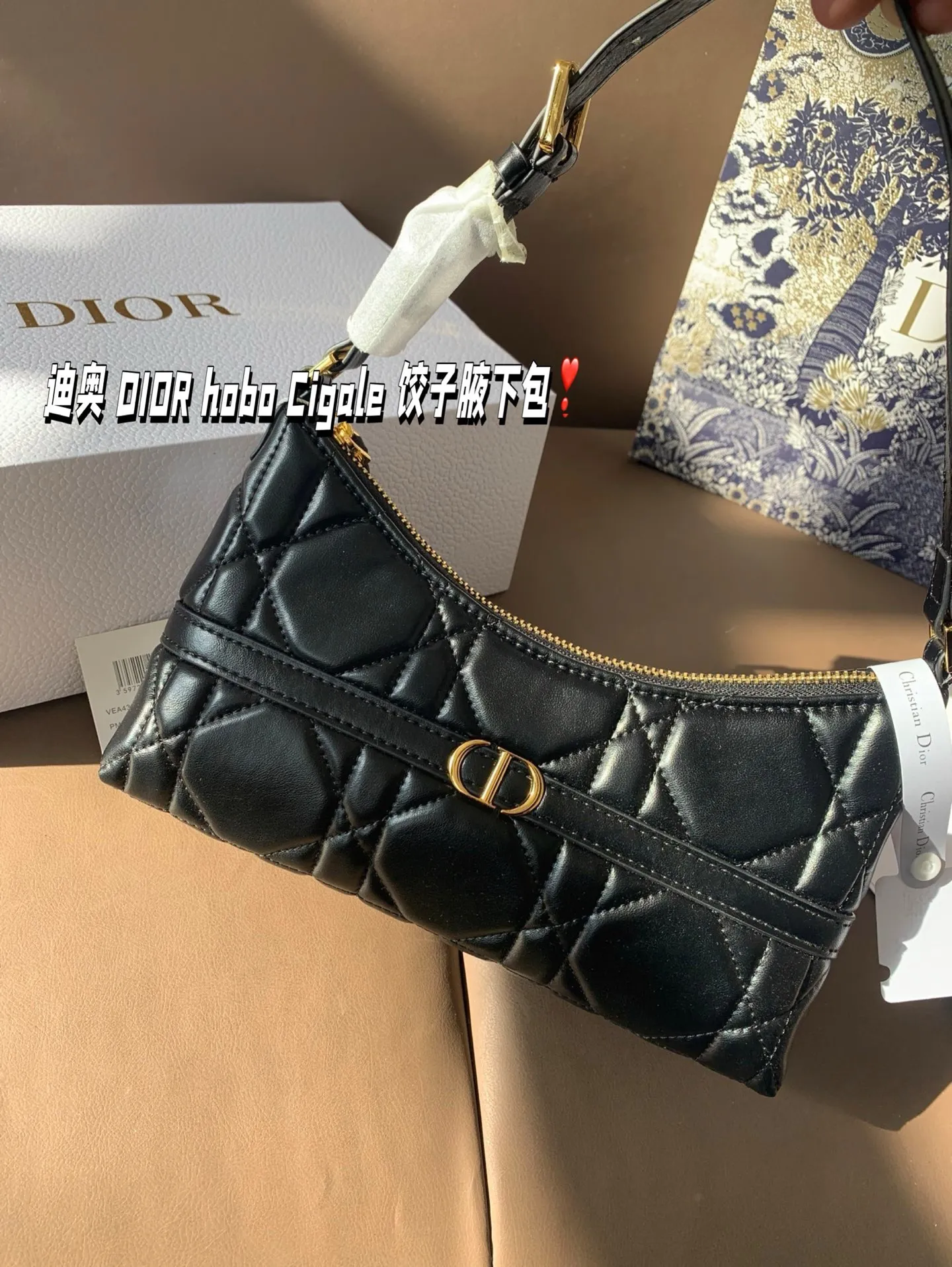 P155 折叠盒 迪奥 DIOR hobo Cigale 饺子腋下包 喜欢腋下包的有福啦 DIOR新出的这款迷你单肩水饺包 尺寸23*11