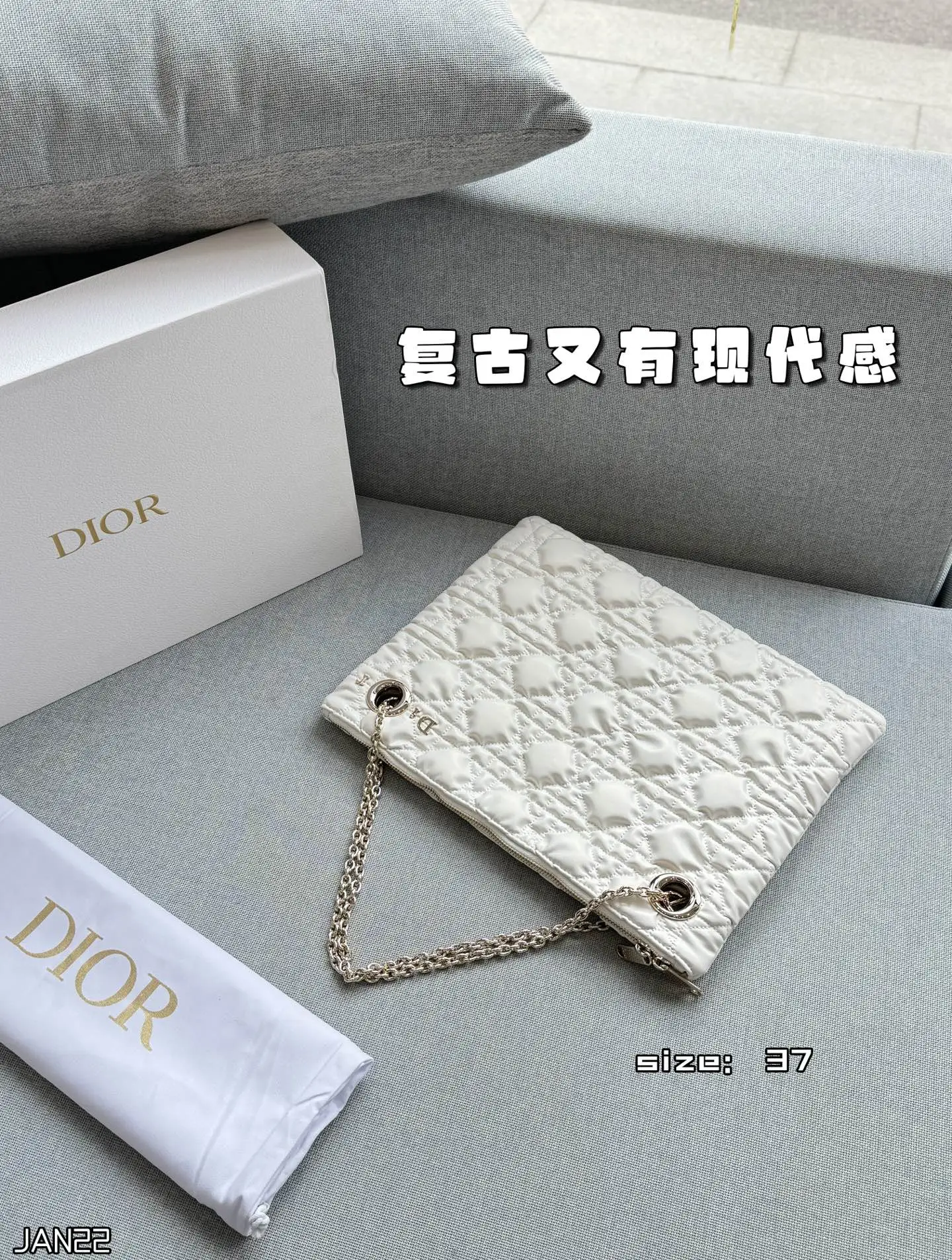 💰230 折叠盒 size：37&times;29 DIOR迪奥 26SS 托特包 手提包 经典