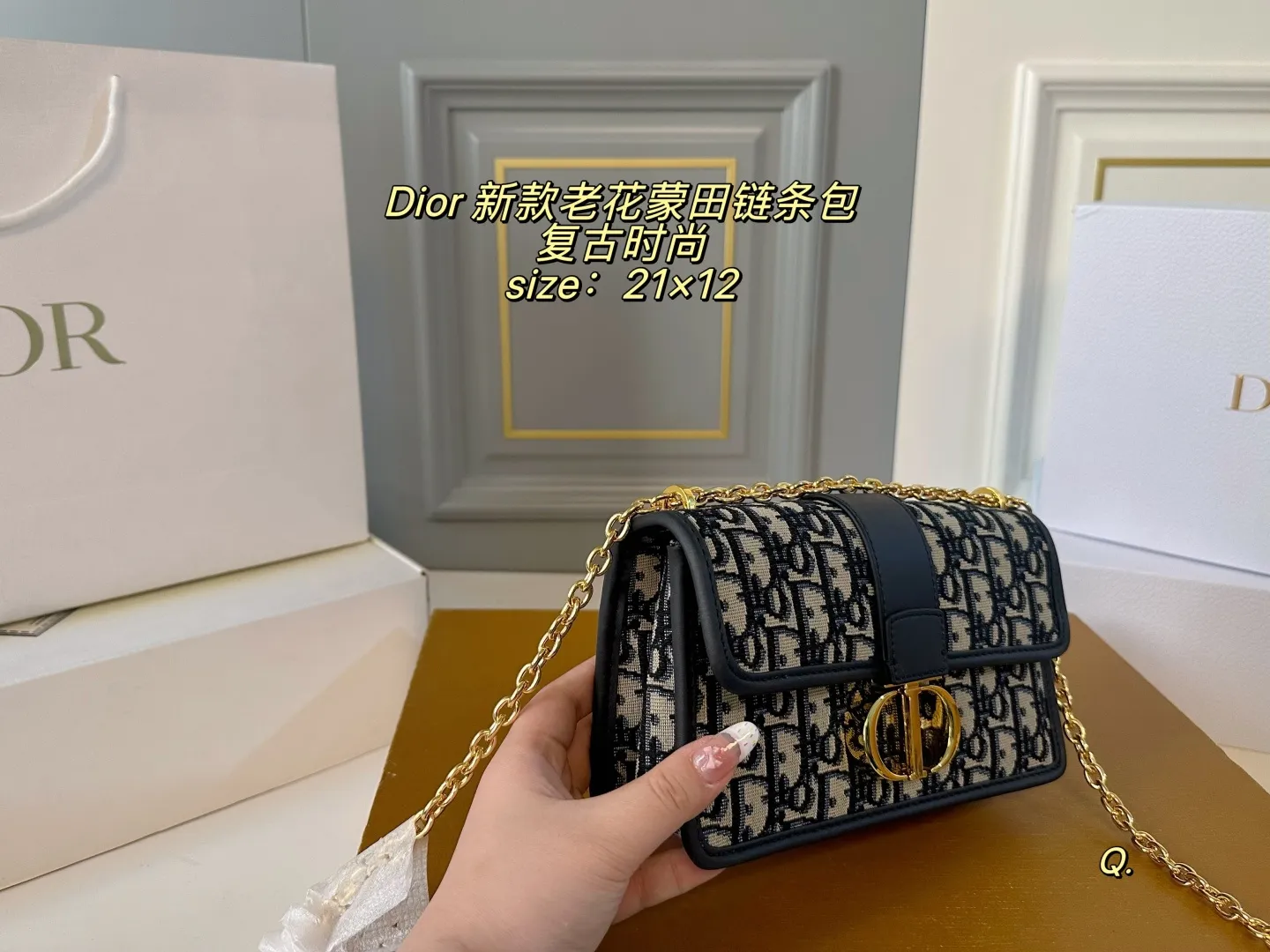 P175（折叠盒） size：21&times;12 Dior 迪奥老花蒙田链条⛓️包 帆布老花搭配CD金色扣环 方正包型，单肩斜挎都🉑️ 复古又时尚，四季百搭款✅
