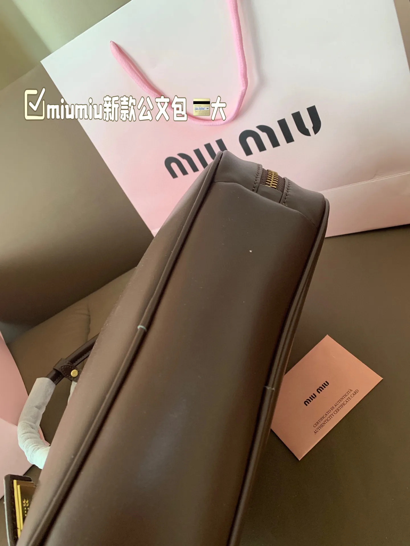 大P260 miumiu新款公文包 今年的风刮的太猛了 老多爆款了! 这款的版型太受欢迎! #miumiu 这一季不管是单肩包 #miumiu包 还是托特包都超级可爱! 尺寸 大29*17