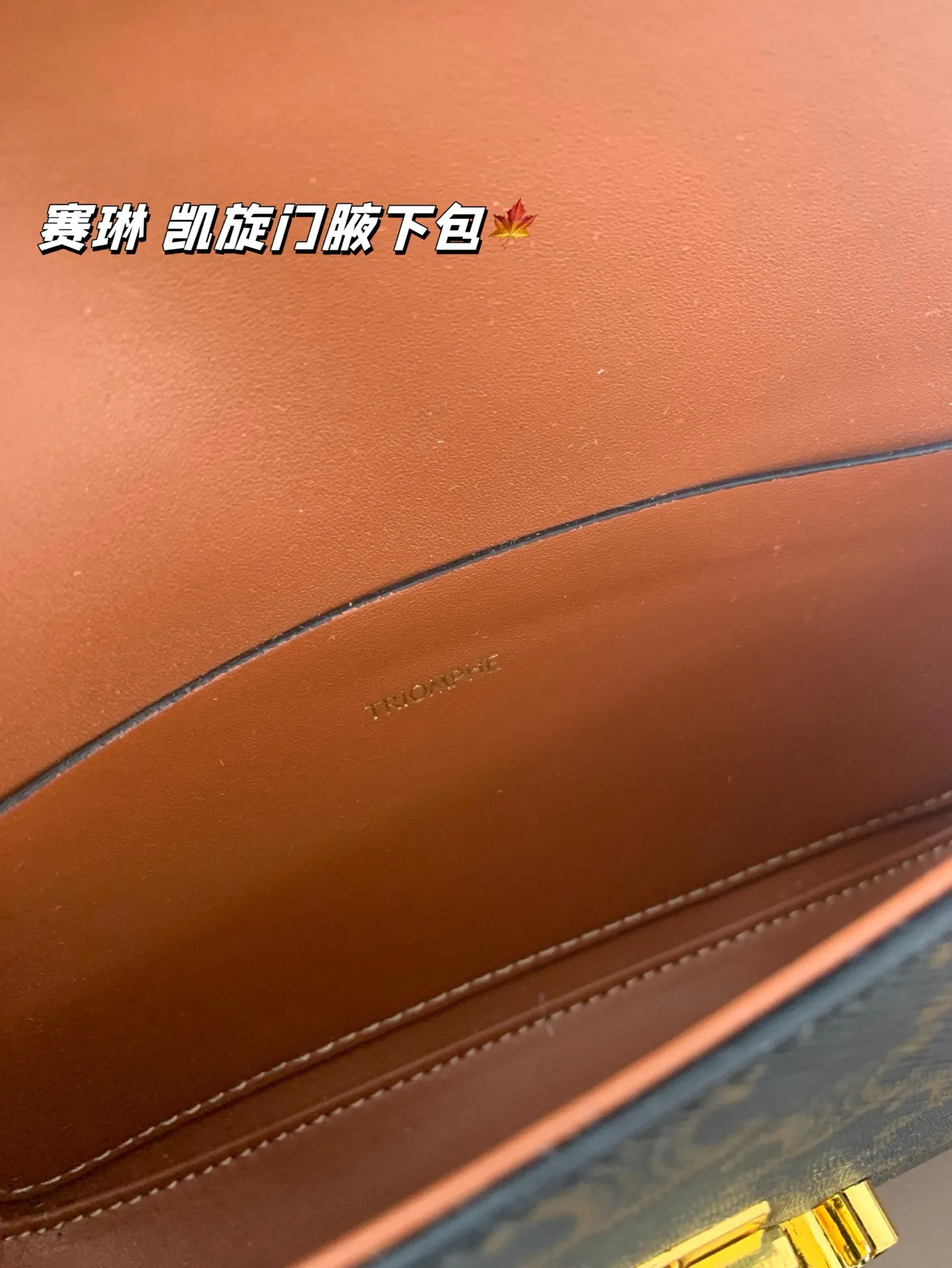 P140 赛琳 凯旋门腋下包 Celine满足日常所有需求 简直能装下整个世界 尺寸20*12折叠盒