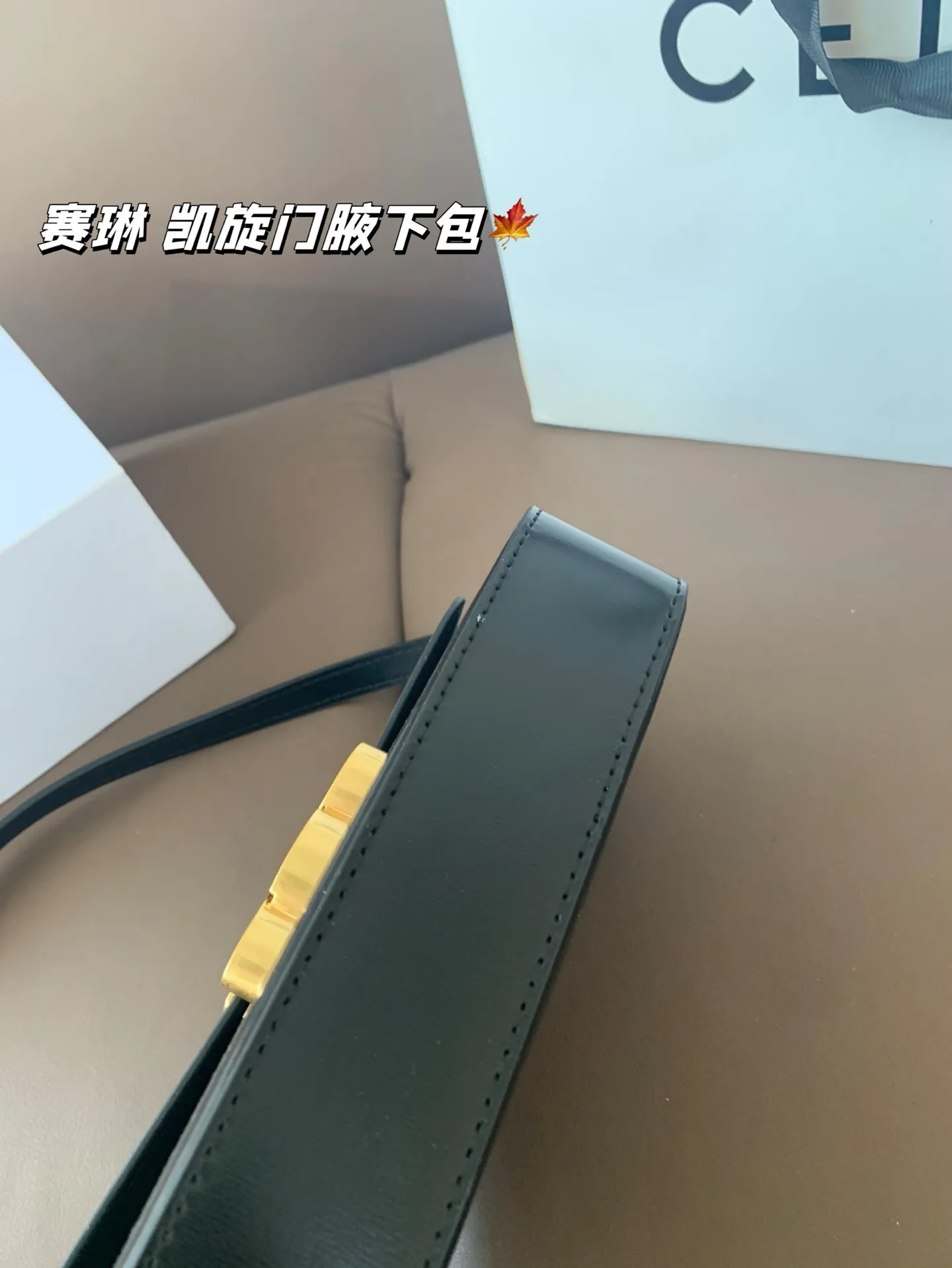 P140 赛琳 凯旋门腋下包 Celine满足日常所有需求 简直能装下整个世界 尺寸20*12折叠盒