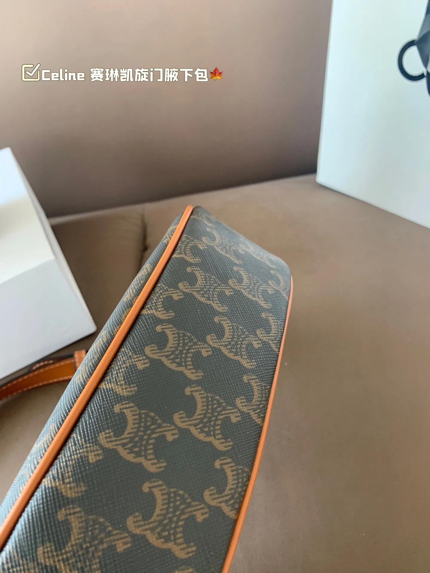 P135 size:22*12cm Celine 赛琳最新款凯旋门Eva腋下包💕 小巧优雅的月牙🌙形轮廓, 上身都是休闲感,真的太🔥了! 容量可以满足当下出门需求, 夏天很方便的一款,超百搭‼️