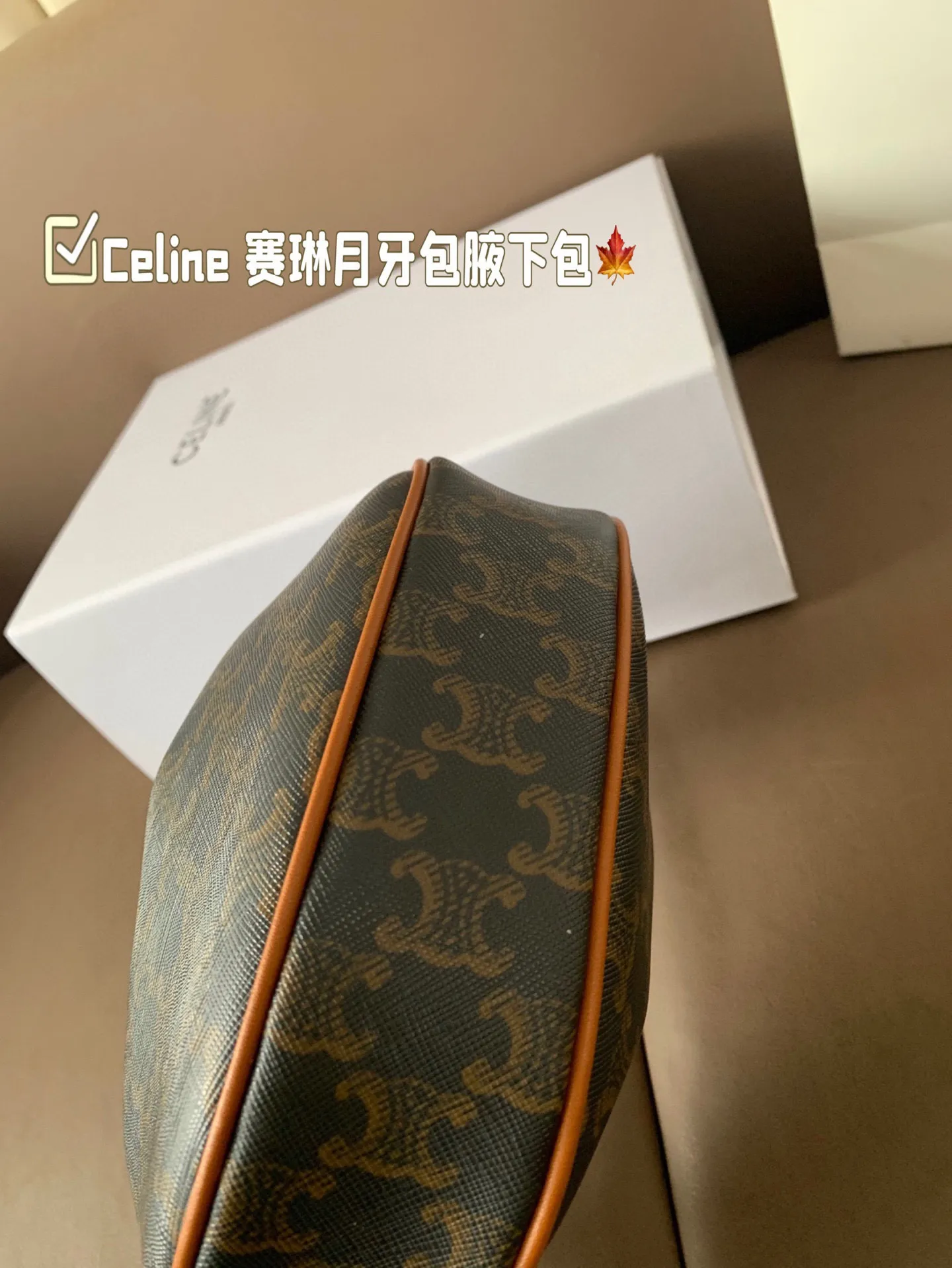 P150 size:22*15 Celine 赛琳最新款腋下包💕 小巧优雅的月牙🌙形轮廓， 上身都是休闲感，真的太🔥了！ 容量可以满足当下出门需求， 夏天很方便的一款，超百搭‼️