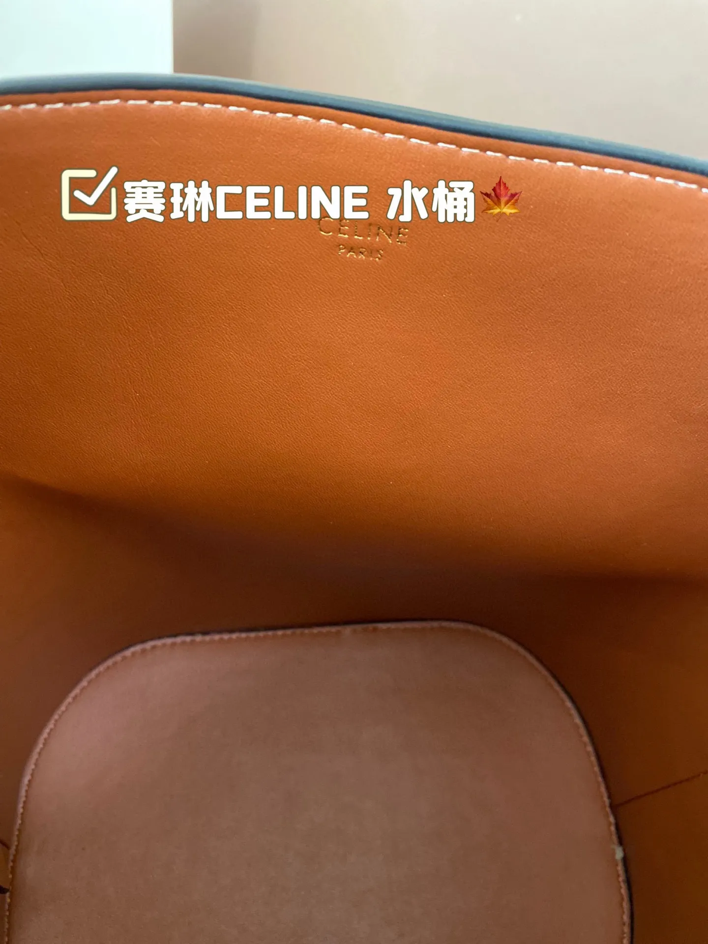 P170 赛琳CELINE 水桶包 复古优雅 满满的高级感 大小适中 容量感人 休闲正装皆可轻松驾驭 尺寸22*24