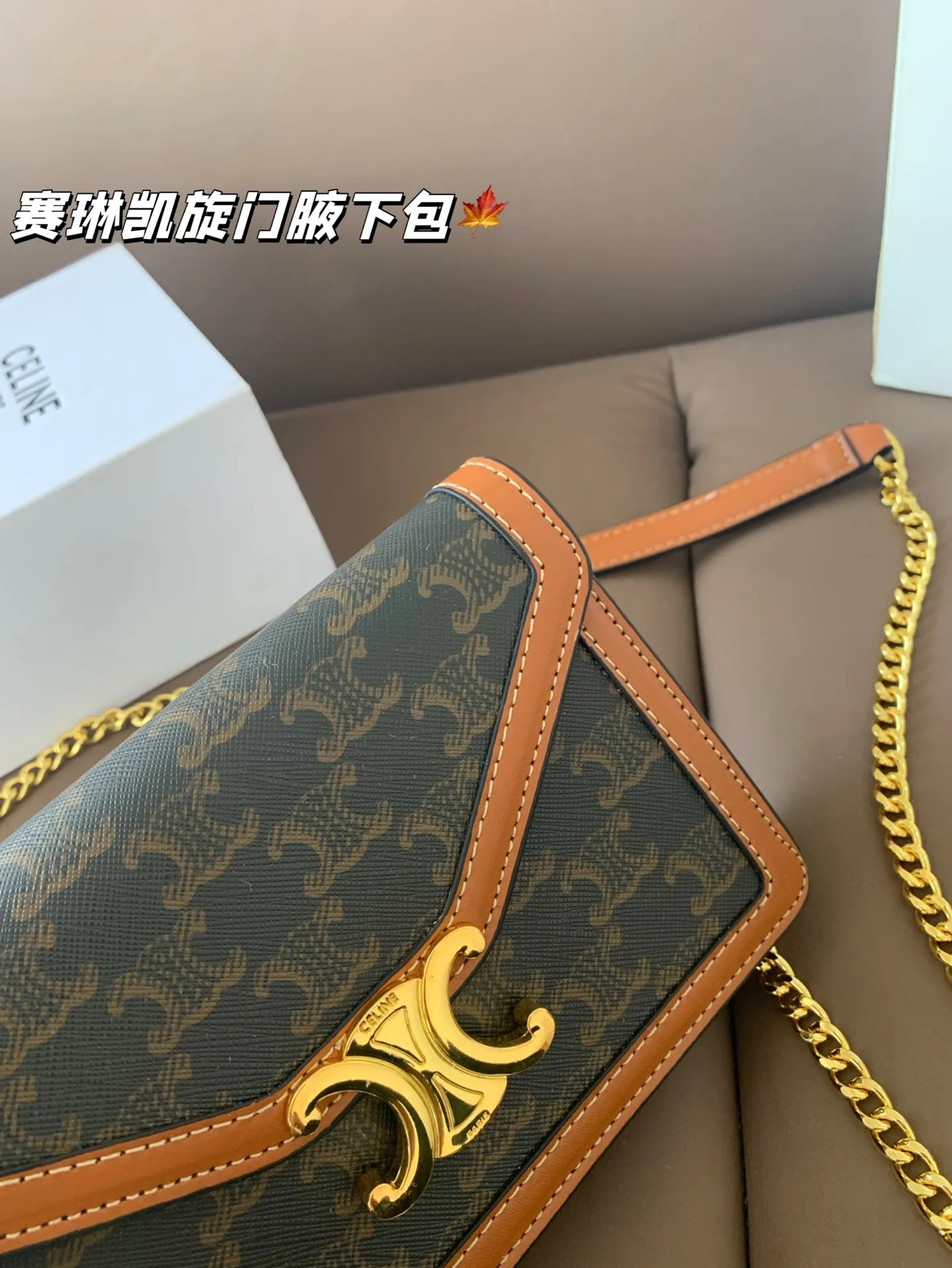 P135 CELIN.Triomphe 赛琳最新款凯旋门腋下包 随便穿什么搭配这个包都是高级风 尺寸19*13折叠盒