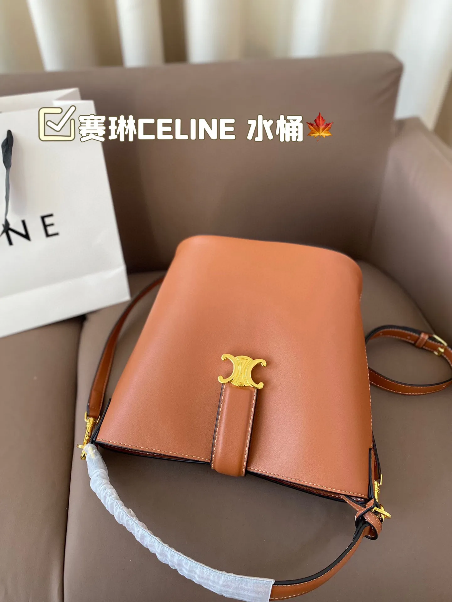 P170 赛琳CELINE 水桶包 复古优雅 满满的高级感 大小适中 容量感人 休闲正装皆可轻松驾驭 尺寸22*24
