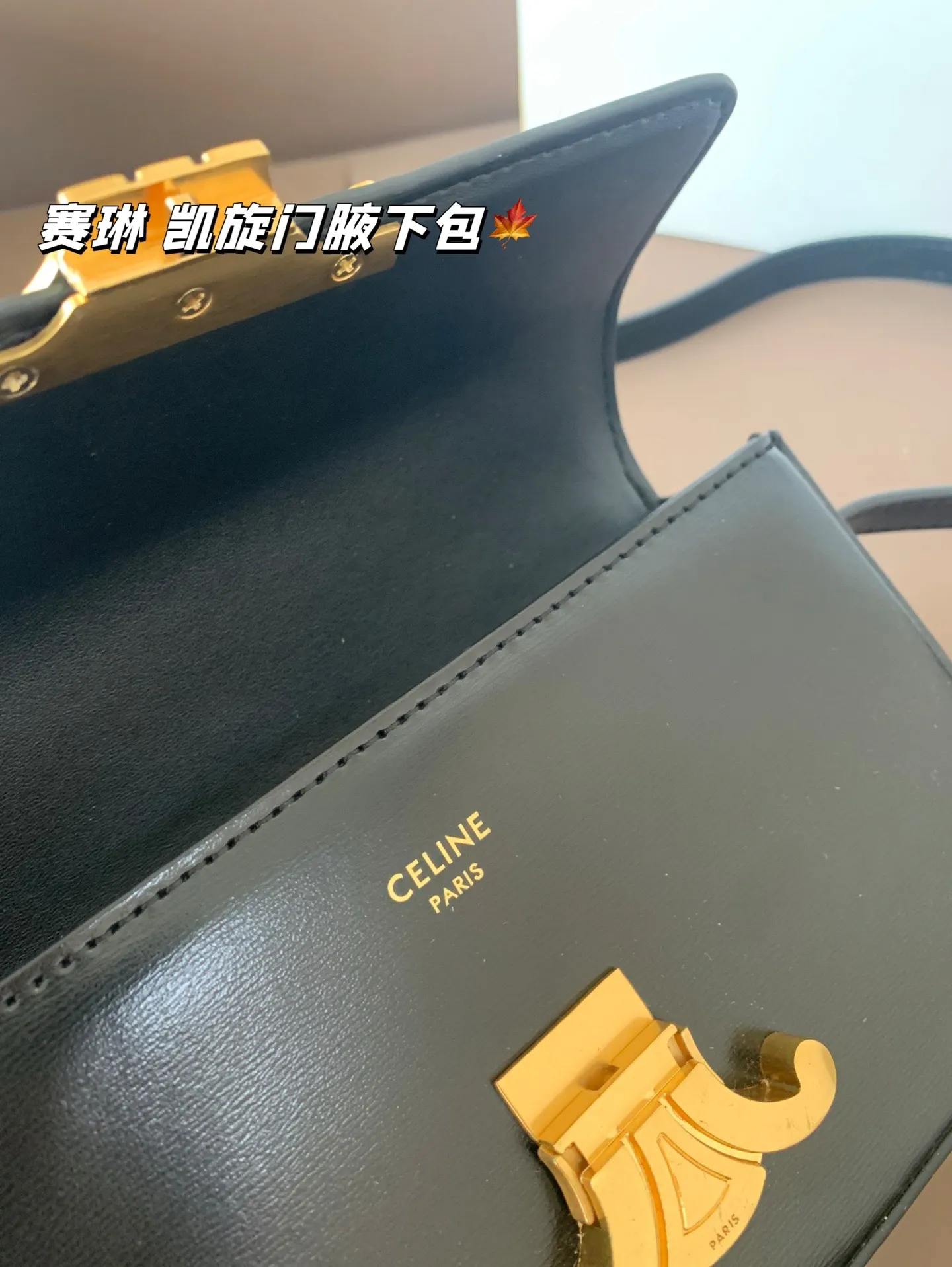 P140 赛琳 凯旋门腋下包 Celine满足日常所有需求 简直能装下整个世界 尺寸20*12折叠盒