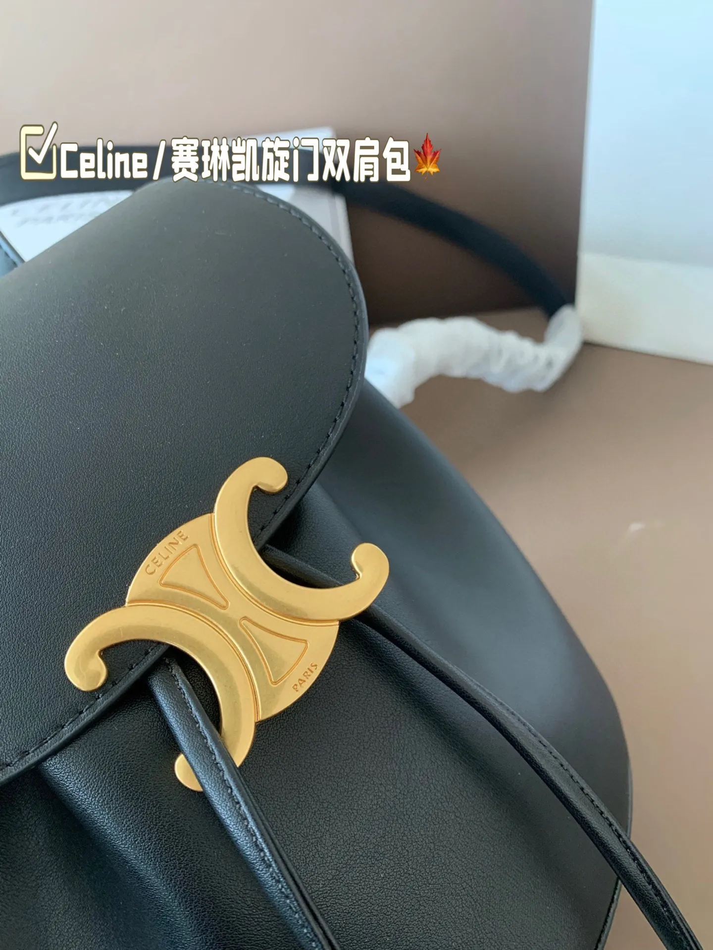 P150 Celine/赛琳TRIOMPHE 凯旋门老花双肩包Lisa同款 将复古元素与一向拿手的利落线条 尺寸18*23 折叠盒