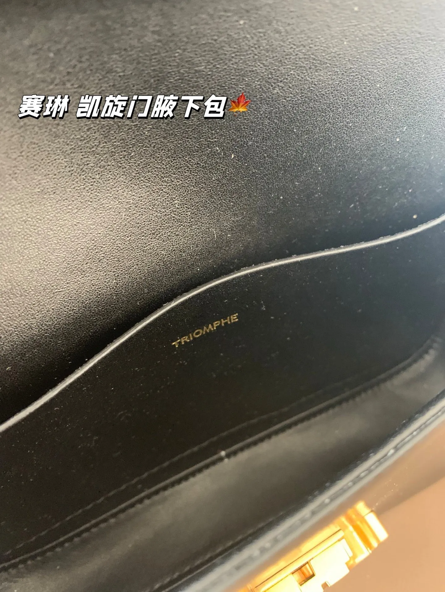 P140 赛琳 凯旋门腋下包 Celine满足日常所有需求 简直能装下整个世界 尺寸20*12折叠盒