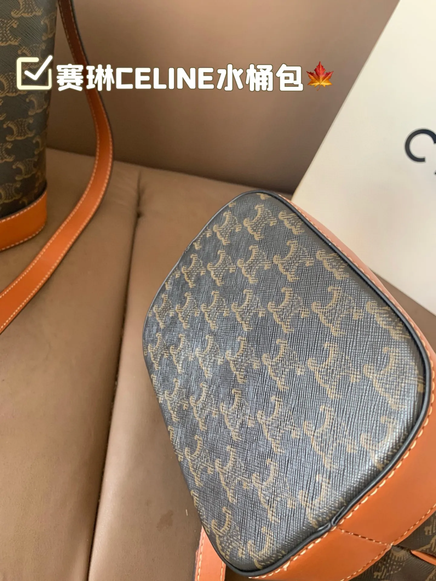 大P130 小P125 赛琳CELINE 水桶包 水桶造型 经典凯旋门 时尚简约 通勤日常皆可的百搭神器 尺寸25×27/18×22配盒