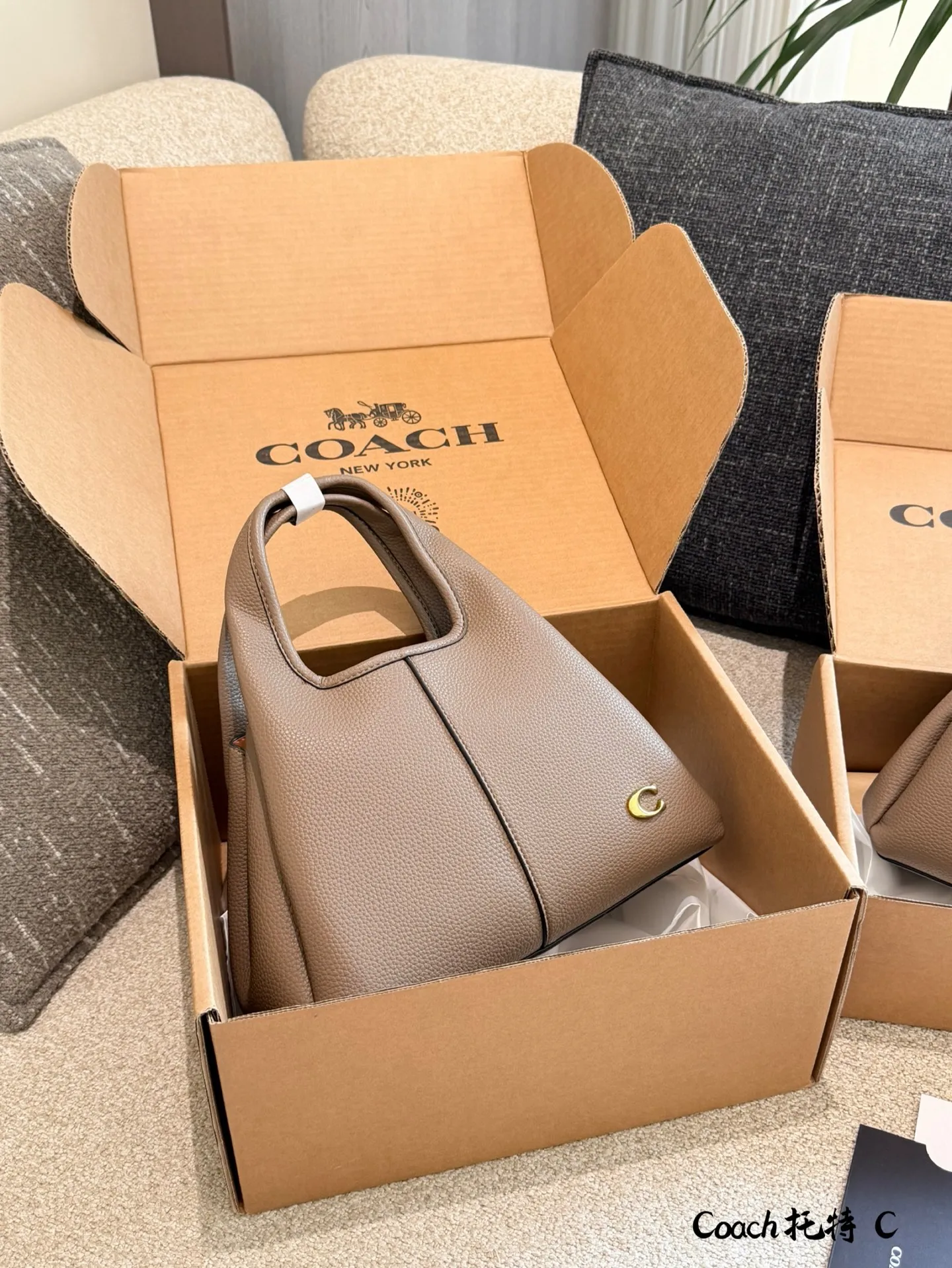 p165p180 COACH LANA 23号单肩包​​ 👜COACH LANA 23号单肩包，荔枝纹头层牛皮，手感柔软耐用，浅灰调超百搭，通勤休闲都能轻松驾驭✨。23cm16cm 小巧尺寸，手提斜挎随心切换，内部隔层方便收纳手机、钥匙、口红等日常小物。金色C字Logo点缀，低调又有辨识度，简约优雅风格，秋冬大衣、针织衫都能轻松搭配，实用又时髦！