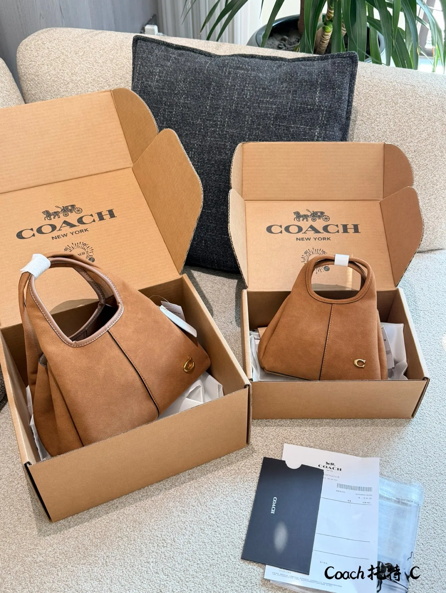 p165p180 COACH LANA 23号单肩包​​ 👜COACH LANA 23号单肩包，荔枝纹头层牛皮，手感柔软耐用，浅灰调超百搭，通勤休闲都能轻松驾驭✨。23cm16cm 小巧尺寸，手提斜挎随心切换，内部隔层方便收纳手机、钥匙、口红等日常小物。金色C字Logo点缀，低调又有辨识度，简约优雅风格，秋冬大衣、针织衫都能轻松搭配，实用又时髦！