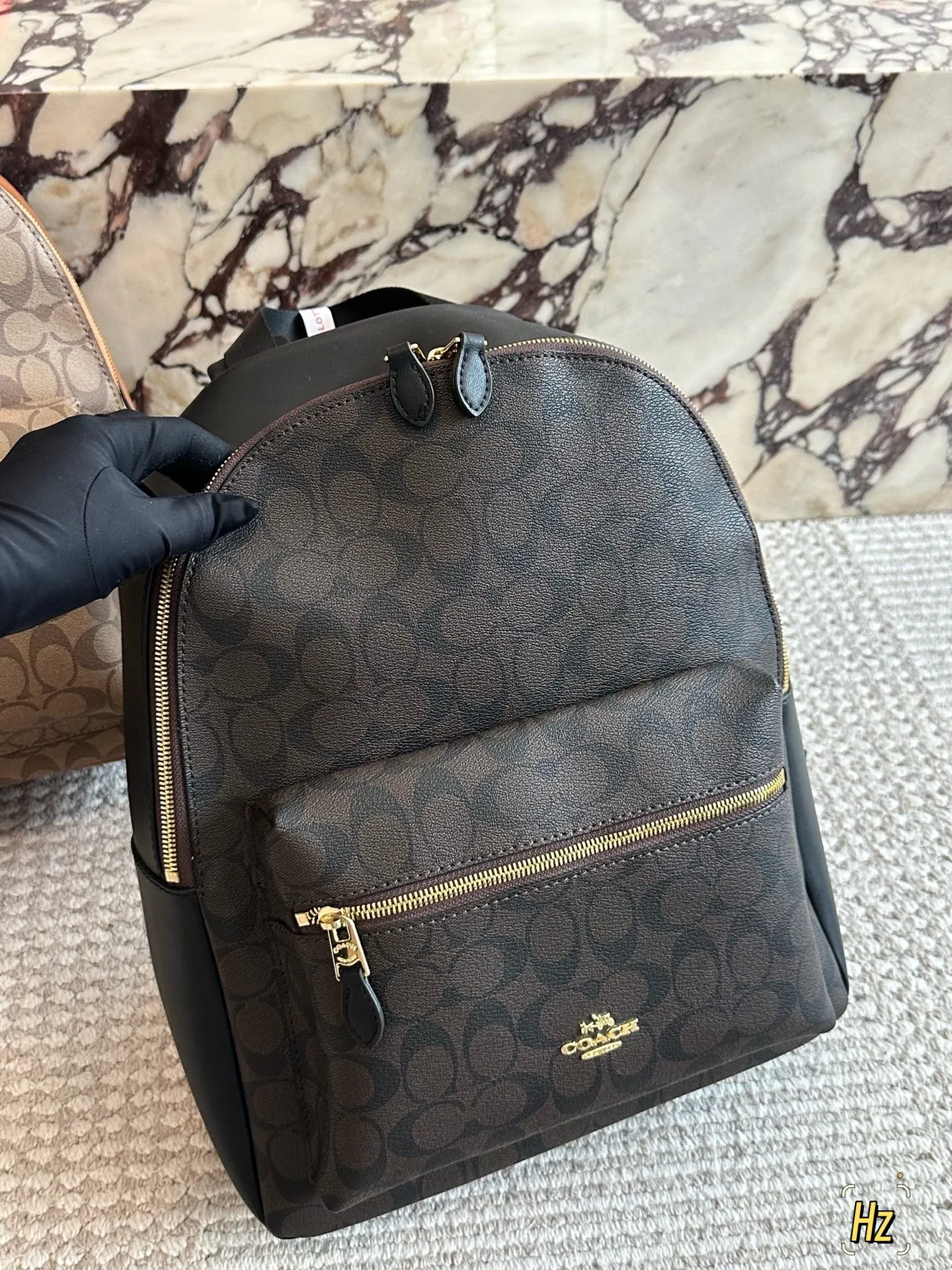 💰180 size:32*41cm C家 双肩包 双拉链/双隔层! 最经典实用的一款男士双肩包 强烈推荐! ⚠️小长假需要一个它! 搜索🔍coach 双肩包