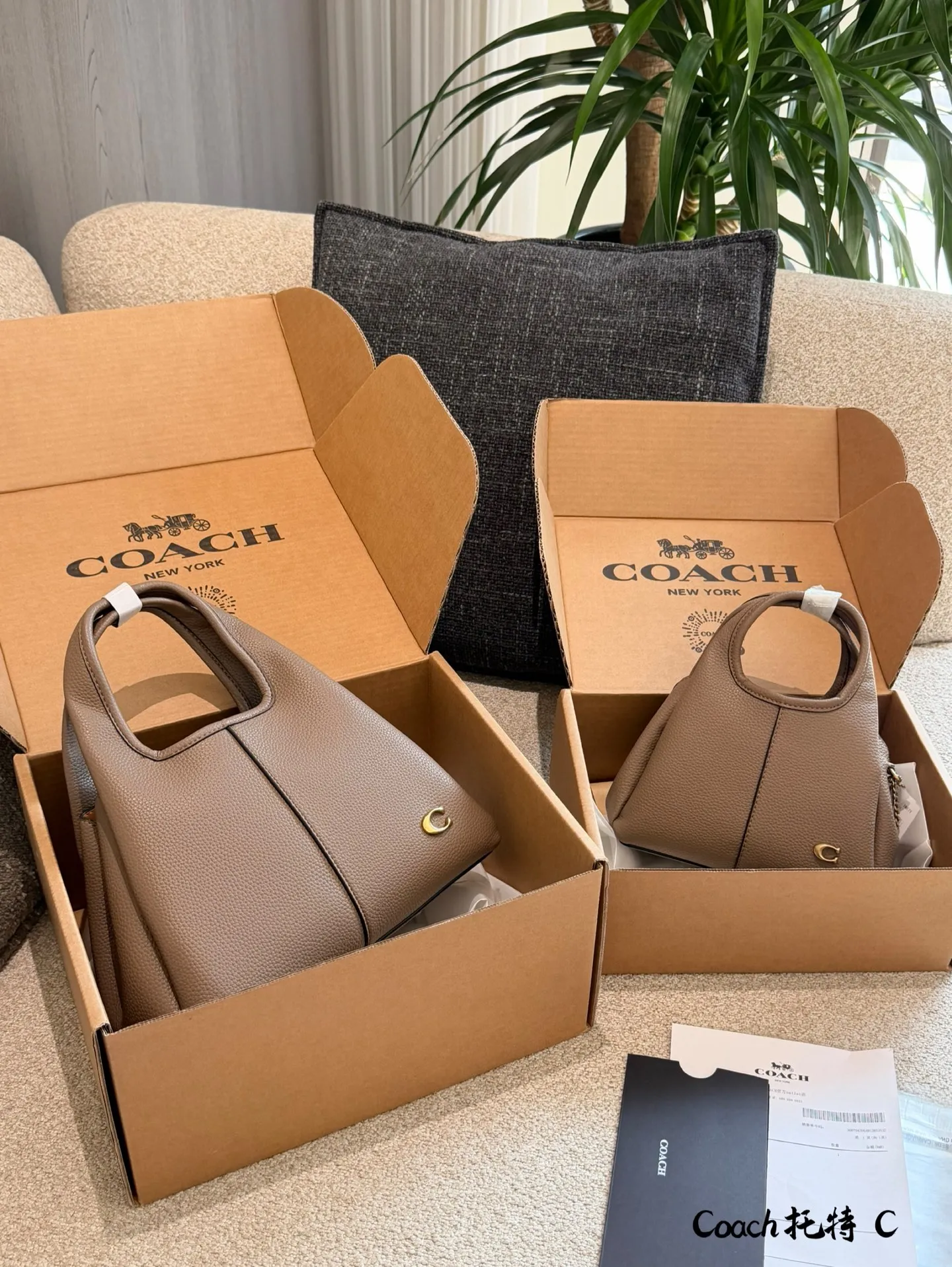 p165p180 COACH LANA 23号单肩包 👜COACH LANA 23号单肩包,荔枝纹头层牛皮,手感柔软耐用,浅灰调超百搭,通勤休闲都能轻松驾驭✨。23cm16cm 小巧尺寸,手提斜挎随心切换,内部隔层方便收纳手机、钥匙、口红等日常小物。金色C字Logo点缀,低调又有辨识度,简约优雅风格,秋冬大衣、针织衫都能轻松搭配,实用又时髦!