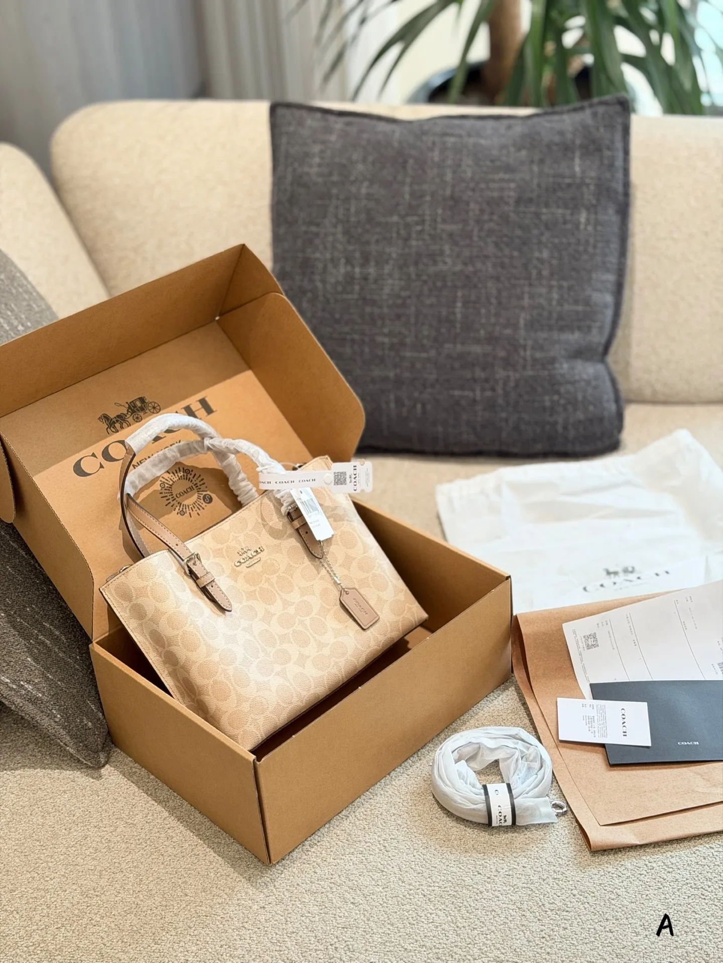 p170 Coach Mollie 25奶茶色托特包​​ 👜Coach Mollie 25奶茶色托特包，经典老花PVC材质+棕色皮革饰边，简约又耐用！25cm小巧尺寸，容量超能装，通勤日常都OK✨。手提、斜挎、单肩多种背法，肩带还能随心换，搭配超灵活～奶茶色温柔百搭，四季都能轻松驾驭，是实用又时髦的通勤神器！