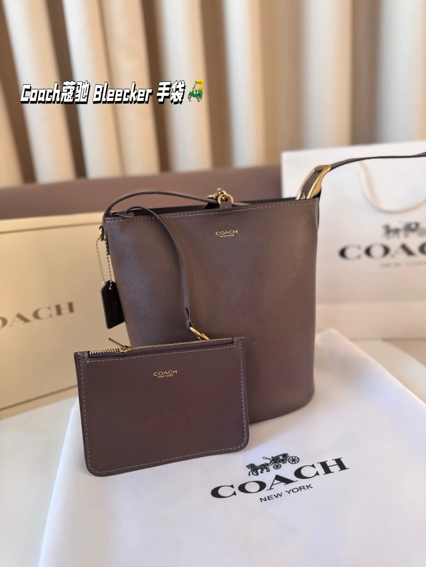 P155 Coach蔻驰｜ Bleecker 手袋 背上 Coach Bleecker手袋超柔软鞣制皮革质感满满简约百搭还什么都能装下 上班通勤也要处处保持时髦愈 尺寸 20*22