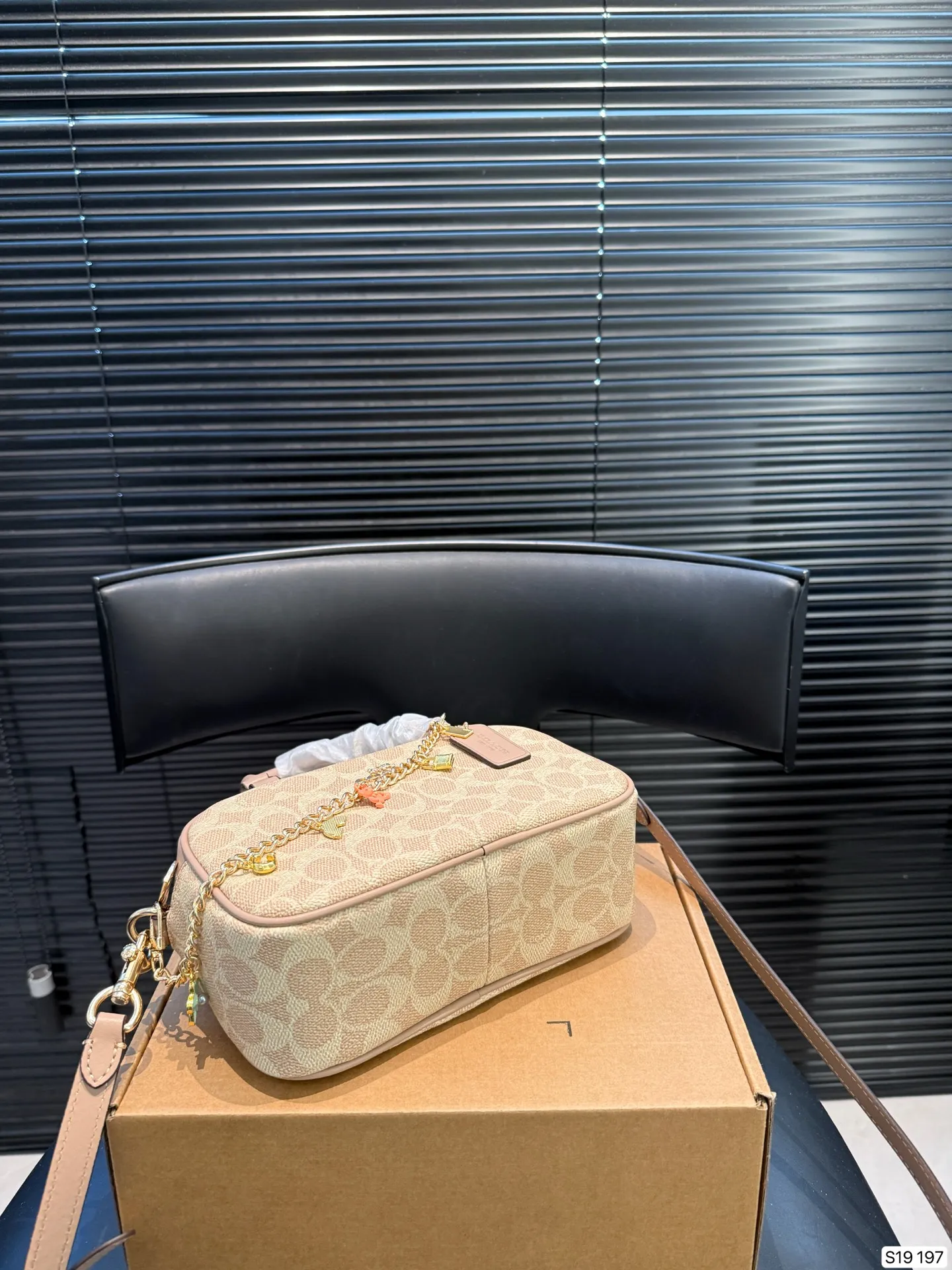 P145 配飞机盒 蔻驰 COACH 相机 复古优雅 满满的高级感 大小适中 容量感人 休闲正装皆可轻松驾驭 尺寸20 12 货号197