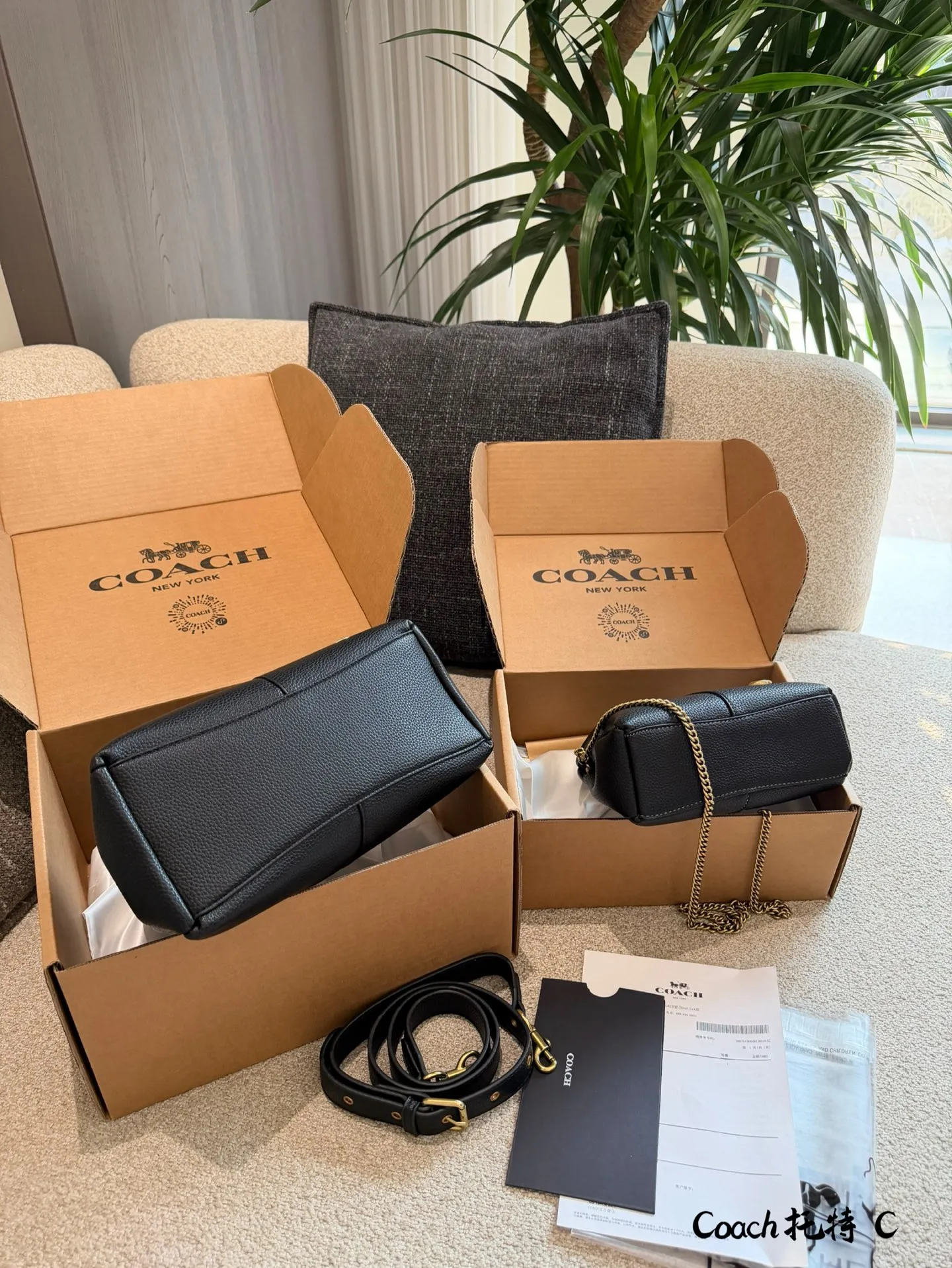 p165p180 COACH LANA 23号单肩包 👜COACH LANA 23号单肩包,荔枝纹头层牛皮,手感柔软耐用,浅灰调超百搭,通勤休闲都能轻松驾驭✨。23cm16cm 小巧尺寸,手提斜挎随心切换,内部隔层方便收纳手机、钥匙、口红等日常小物。金色C字Logo点缀,低调又有辨识度,简约优雅风格,秋冬大衣、针织衫都能轻松搭配,实用又时髦!