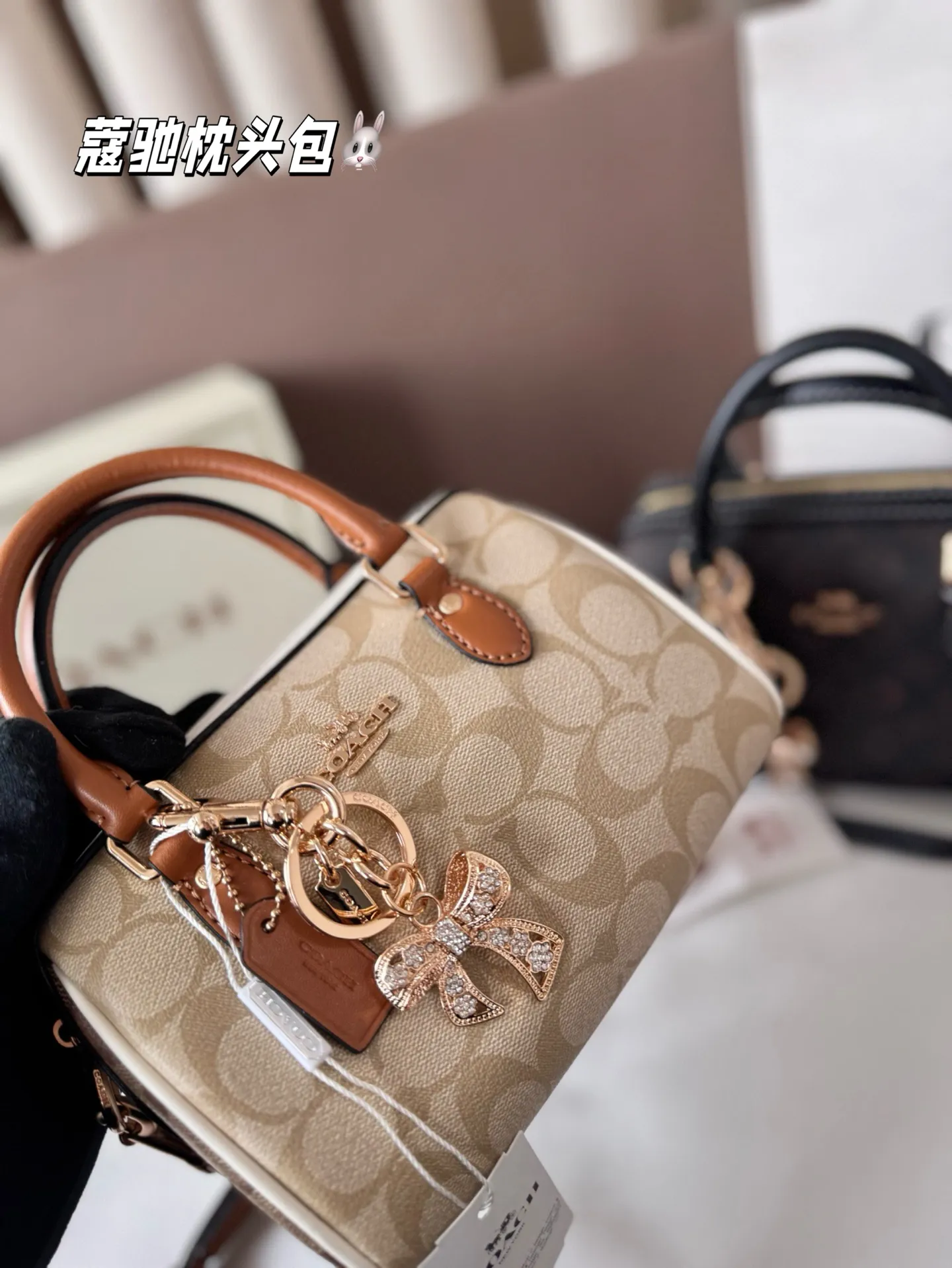 P145 配盒子 蔻驰枕头包出货 专柜同步 最新款 ❤️❤️🔥超级实用的款式 手提 斜挎多用款 原版电镀五金带logo 超级大牌 ‼️时尚百搭款式 不挑年龄段 喜欢的抓紧自留啦 尺寸:18*13