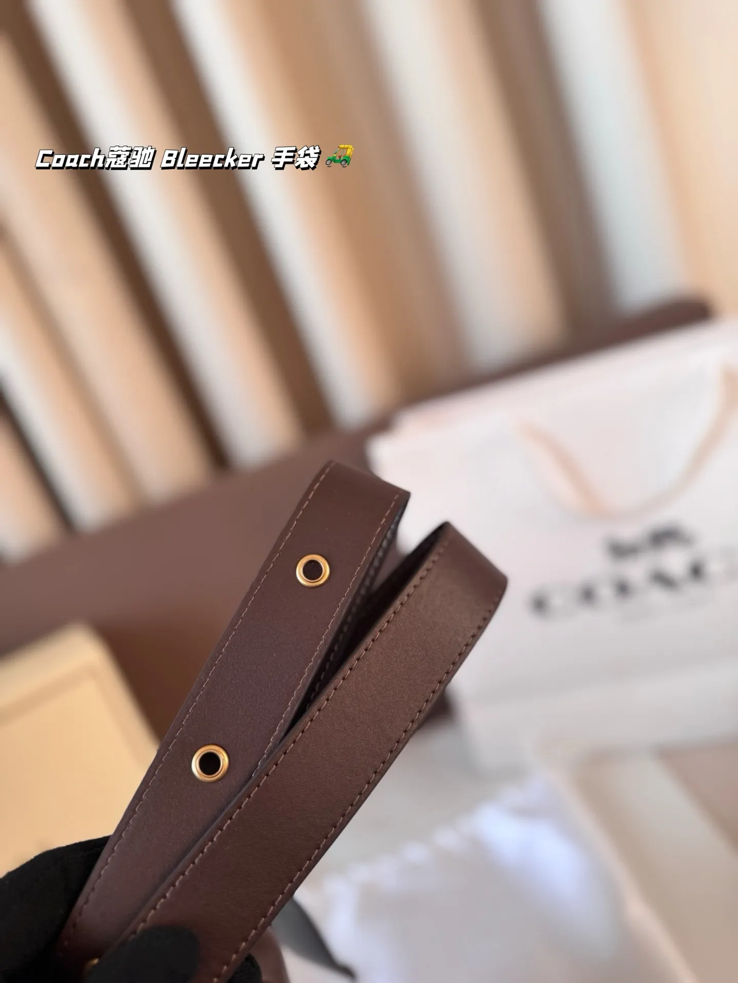P155 Coach蔻驰｜ Bleecker 手袋 背上 Coach Bleecker手袋超柔软鞣制皮革质感满满简约百搭还什么都能装下 上班通勤也要处处保持时髦愈 尺寸 20*22