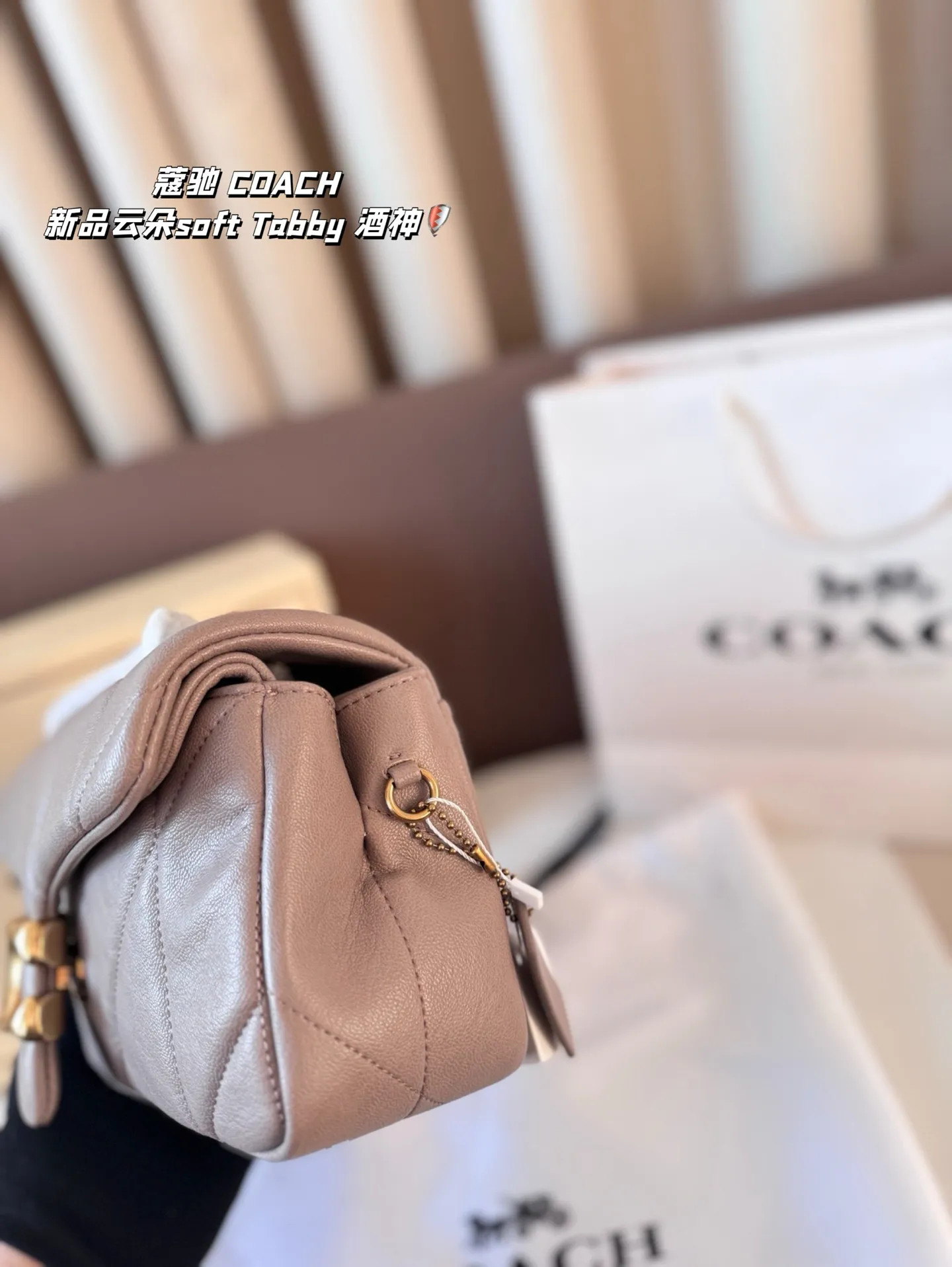 P190 尺寸26*15折叠盒 蔻驰 COACH 新品云朵soft Tabby 酒神 经典永不过时的款式哦!