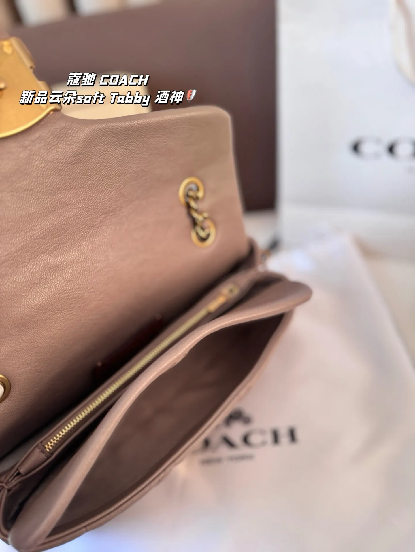 P190 尺寸26*15折叠盒 蔻驰 COACH 新品云朵soft Tabby 酒神 经典永不过时的款式哦！