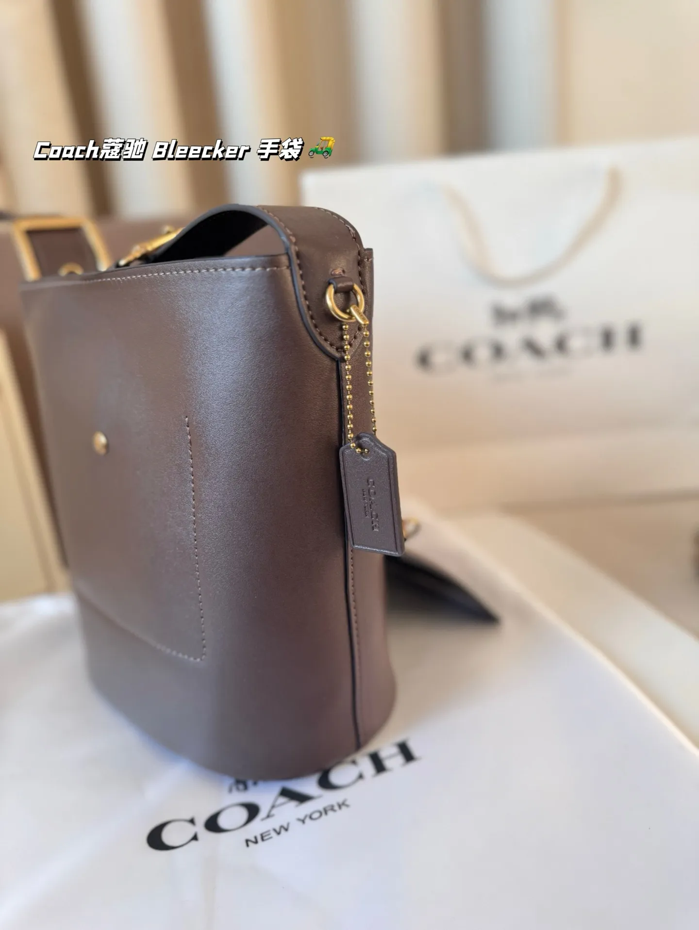 P155 Coach蔻驰| Bleecker 手袋 背上 Coach Bleecker手袋超柔软鞣制皮革质感满满简约百搭还什么都能装下 上班通勤也要处处保持时髦愈 尺寸 20*22