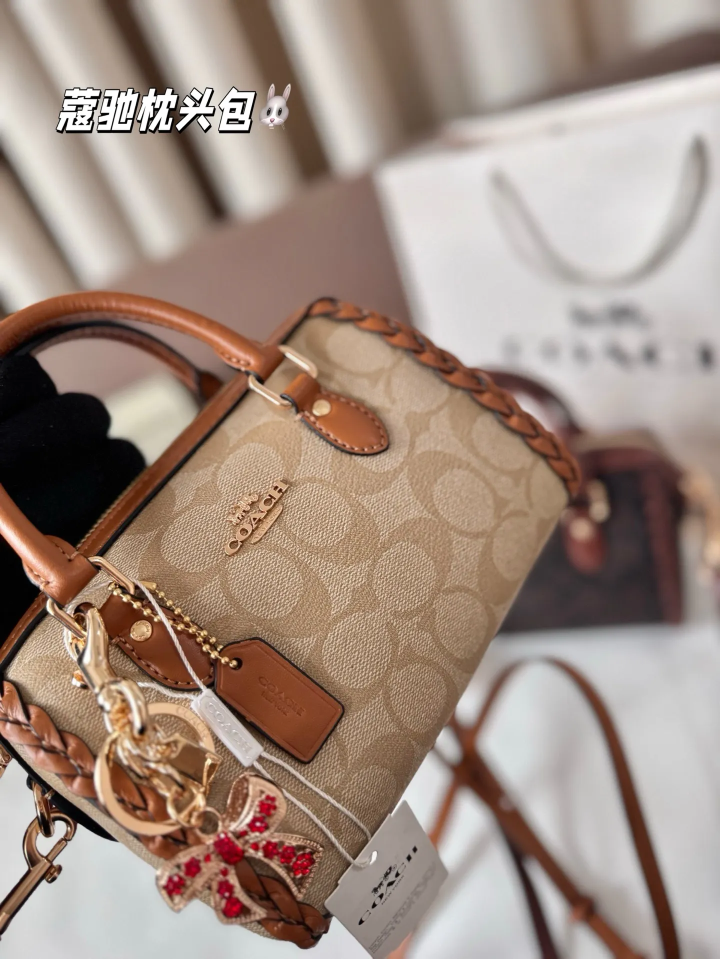 P165 配盒子 蔻驰枕头包出货 专柜同步 最新款 ❤️❤️🔥超级实用的款式 手提 斜挎多用款 原版电镀五金带logo 超级大牌 ‼️时尚百搭款式 不挑年龄段 喜欢的抓紧自留啦 尺寸：18*13