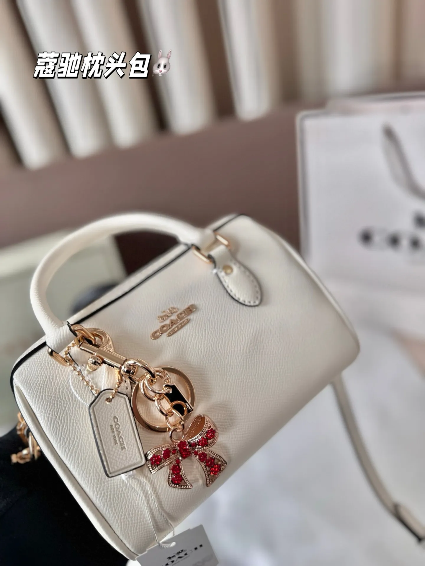 P145 配盒子 蔻驰枕头包出货 专柜同步 最新款 ❤️❤️🔥超级实用的款式 手提 斜挎多用款 原版电镀五金带logo 超级大牌 ‼️时尚百搭款式 不挑年龄段 喜欢的抓紧自留啦 尺寸:18*13