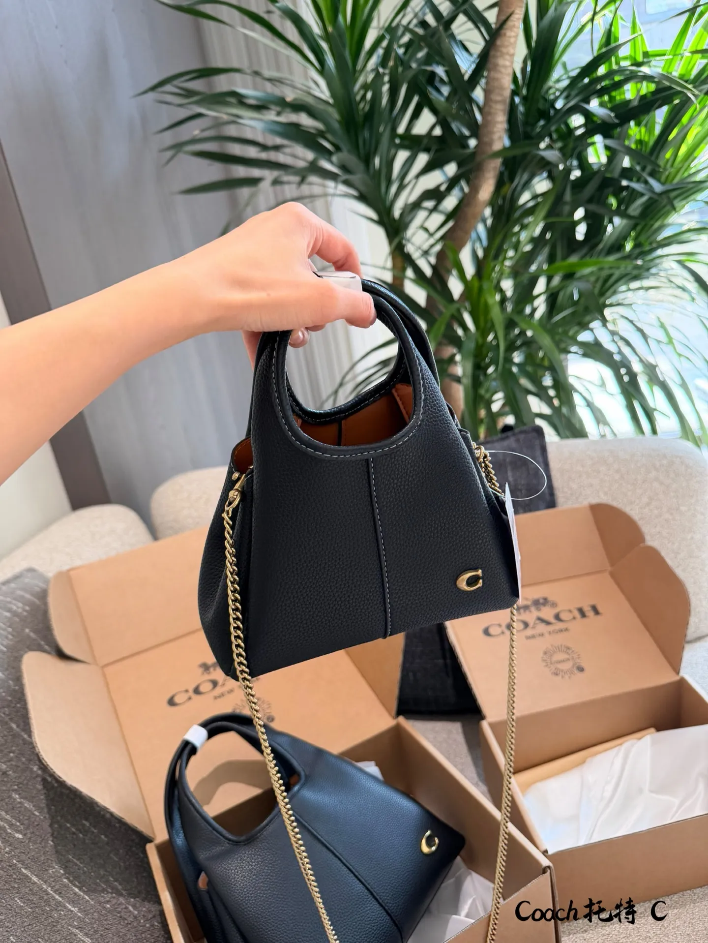 p165p180 COACH LANA 23号单肩包​​ 👜COACH LANA 23号单肩包，荔枝纹头层牛皮，手感柔软耐用，浅灰调超百搭，通勤休闲都能轻松驾驭✨。23cm16cm 小巧尺寸，手提斜挎随心切换，内部隔层方便收纳手机、钥匙、口红等日常小物。金色C字Logo点缀，低调又有辨识度，简约优雅风格，秋冬大衣、针织衫都能轻松搭配，实用又时髦！