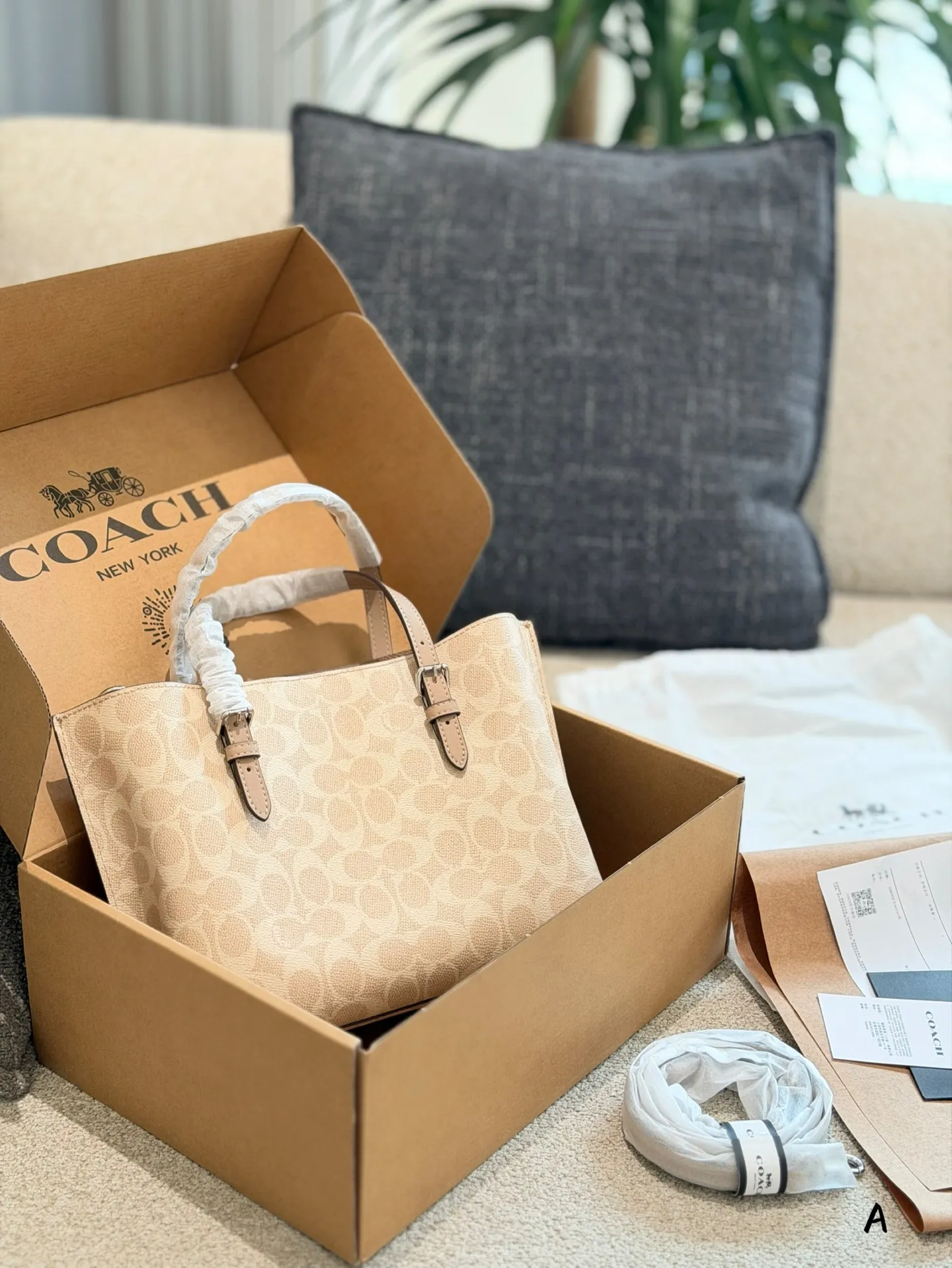 p170 Coach Mollie 25奶茶色托特包​​ 👜Coach Mollie 25奶茶色托特包，经典老花PVC材质+棕色皮革饰边，简约又耐用！25cm小巧尺寸，容量超能装，通勤日常都OK✨。手提、斜挎、单肩多种背法，肩带还能随心换，搭配超灵活～奶茶色温柔百搭，四季都能轻松驾驭，是实用又时髦的通勤神器！