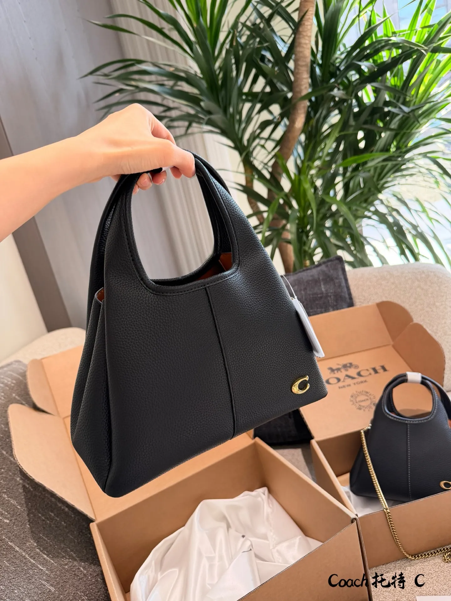 p165p180 COACH LANA 23号单肩包​​ 👜COACH LANA 23号单肩包，荔枝纹头层牛皮，手感柔软耐用，浅灰调超百搭，通勤休闲都能轻松驾驭✨。23cm16cm 小巧尺寸，手提斜挎随心切换，内部隔层方便收纳手机、钥匙、口红等日常小物。金色C字Logo点缀，低调又有辨识度，简约优雅风格，秋冬大衣、针织衫都能轻松搭配，实用又时髦！