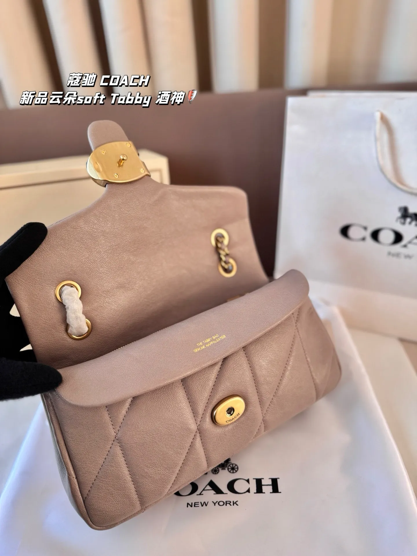 P190 尺寸26*15折叠盒 蔻驰 COACH 新品云朵soft Tabby 酒神 经典永不过时的款式哦!