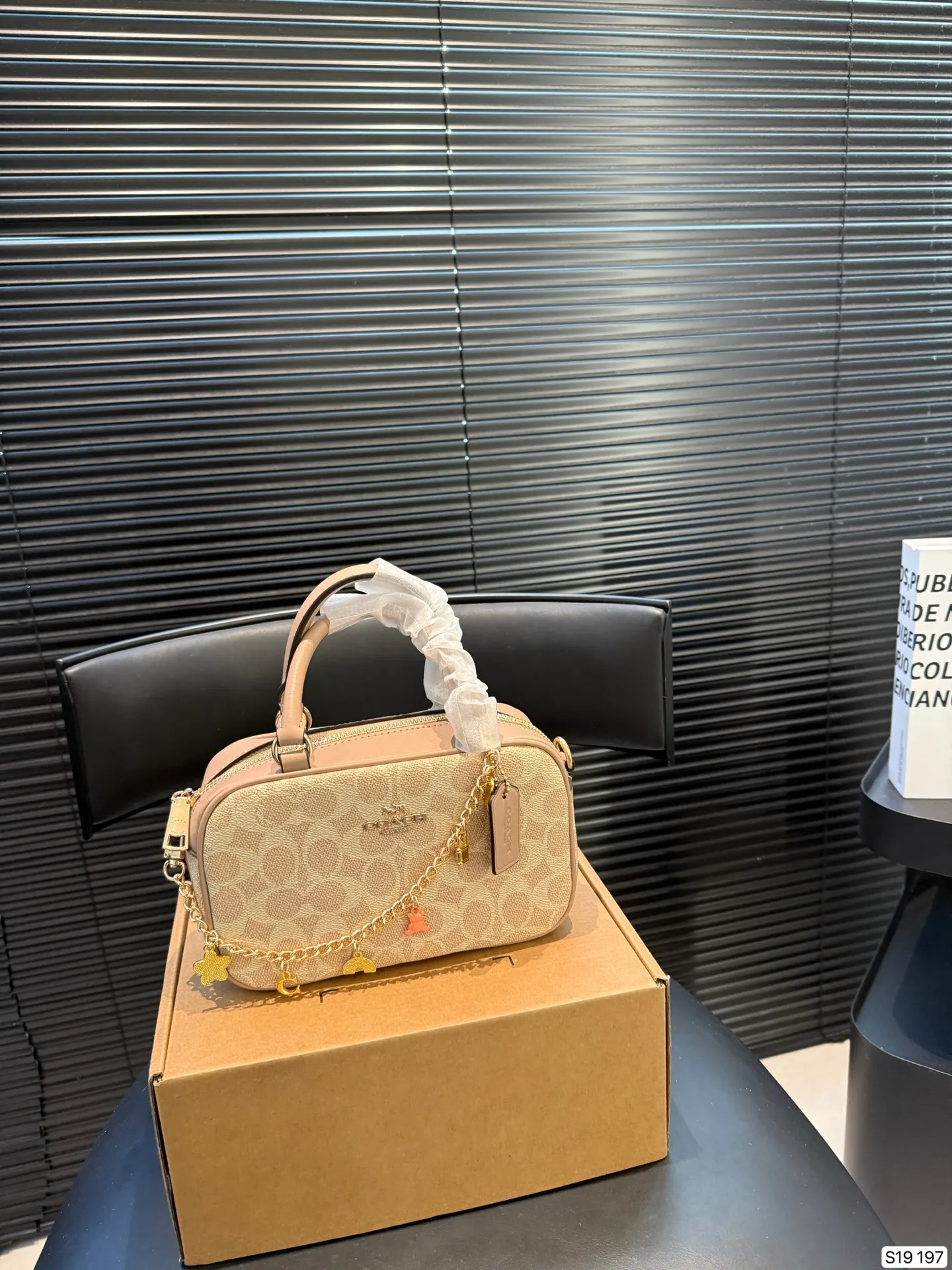 P145 配飞机盒 蔻驰 COACH 相机 复古优雅 满满的高级感 大小适中 容量感人 休闲正装皆可轻松驾驭 尺寸20 12 货号197