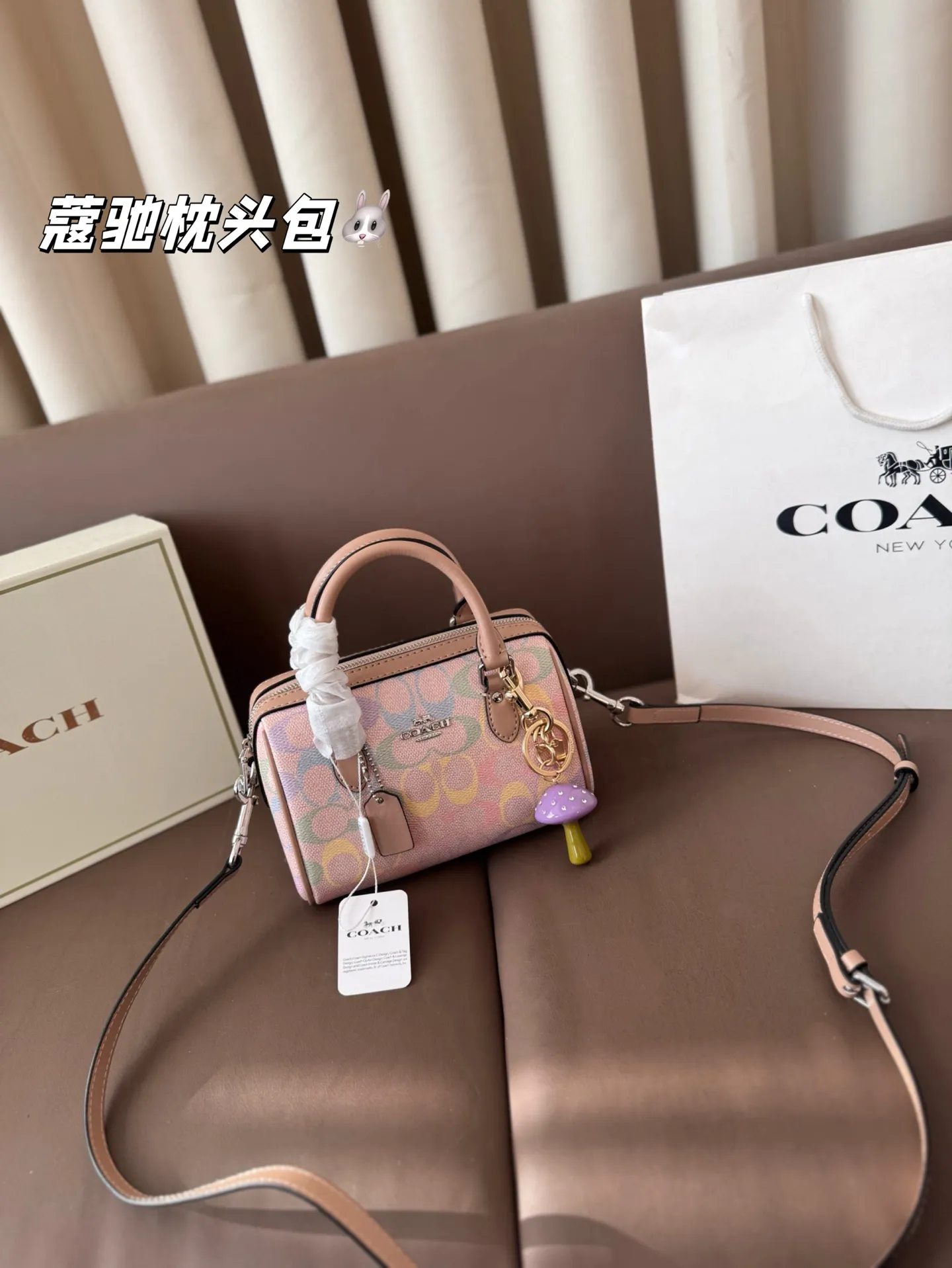 大号P180 小号P160 礼盒🎁（带挂件） 蔻驰枕头包出货 专柜同步 最新款 ❤️❤️🔥超级实用的款式 手提 斜挎多用款 原版电镀五金带logo 超级大牌 内衬logo‼️时尚百搭款式 不挑年龄段 喜欢的抓紧自留啦 尺寸：大25*17 小17*12